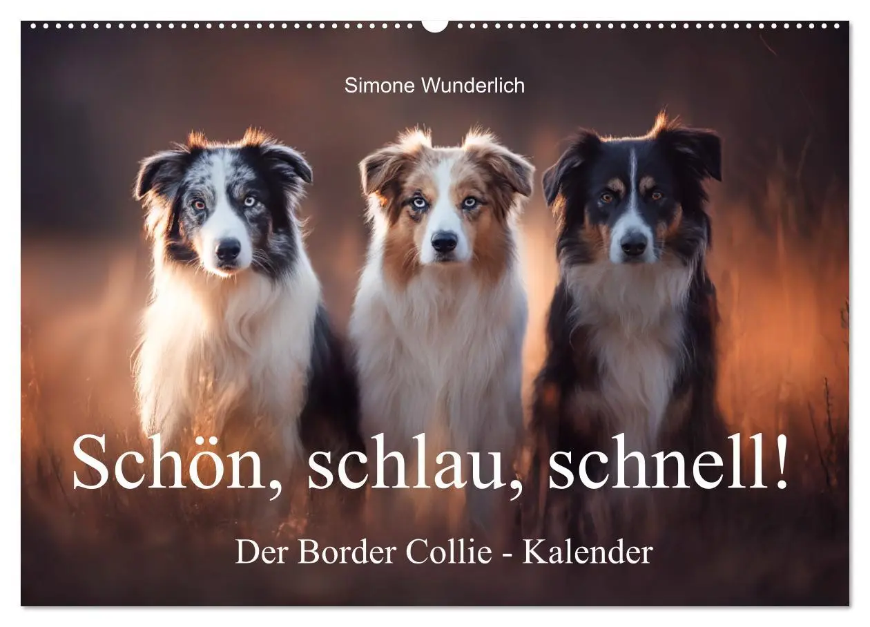 Cover: 9783516602227 | Schön, schlau, schnell! - Der Border Collie - Kalender...