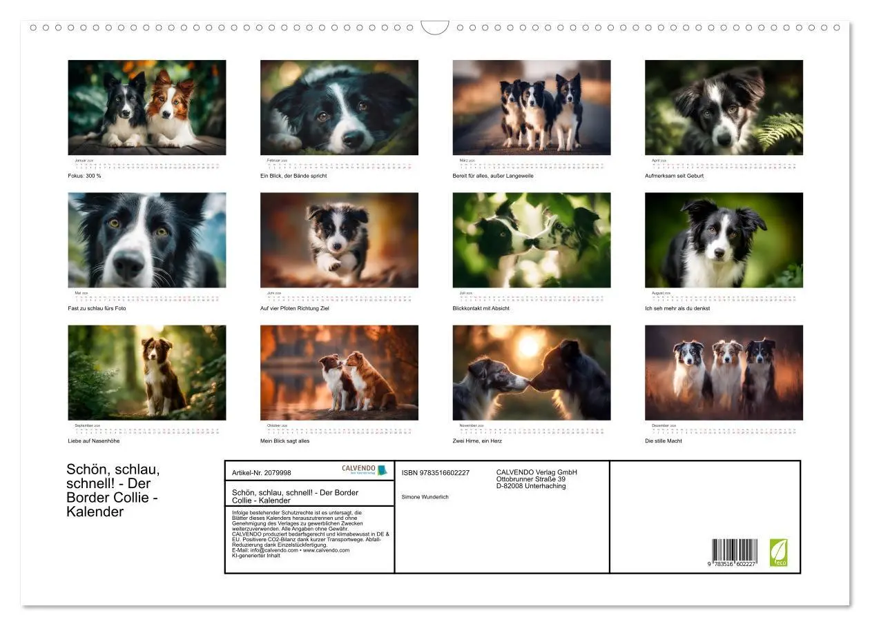 Bild: 9783516602227 | Schön, schlau, schnell! - Der Border Collie - Kalender...