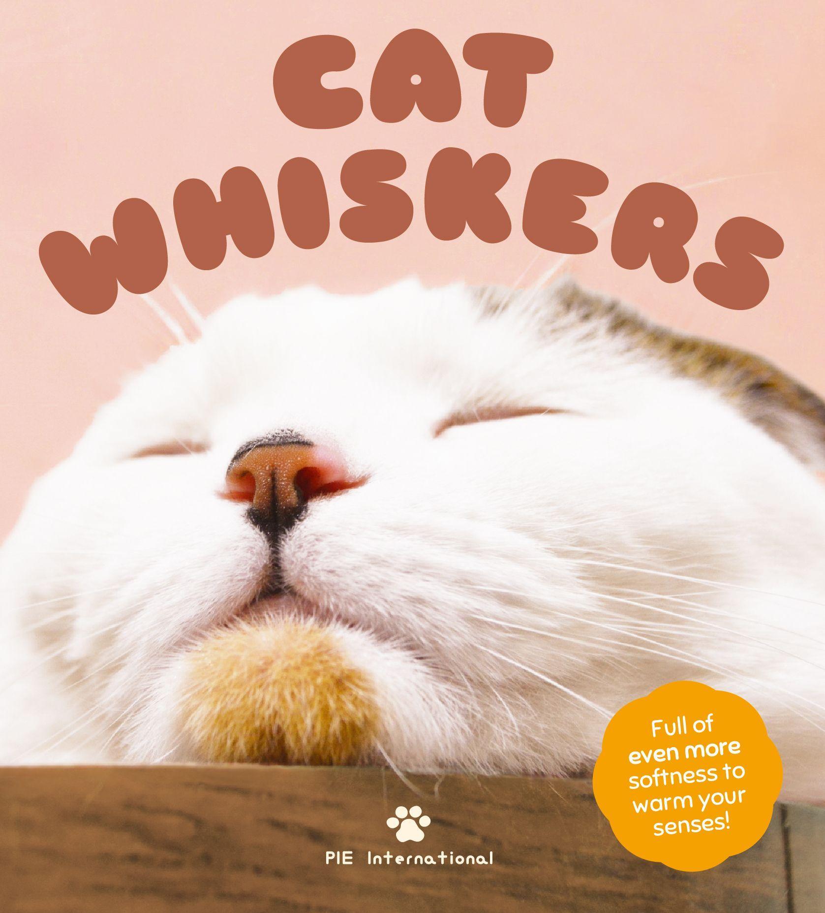 Cover: 9784756252227 | Cat Whiskers | Pie International | Buch | Gebunden | Englisch | 2019