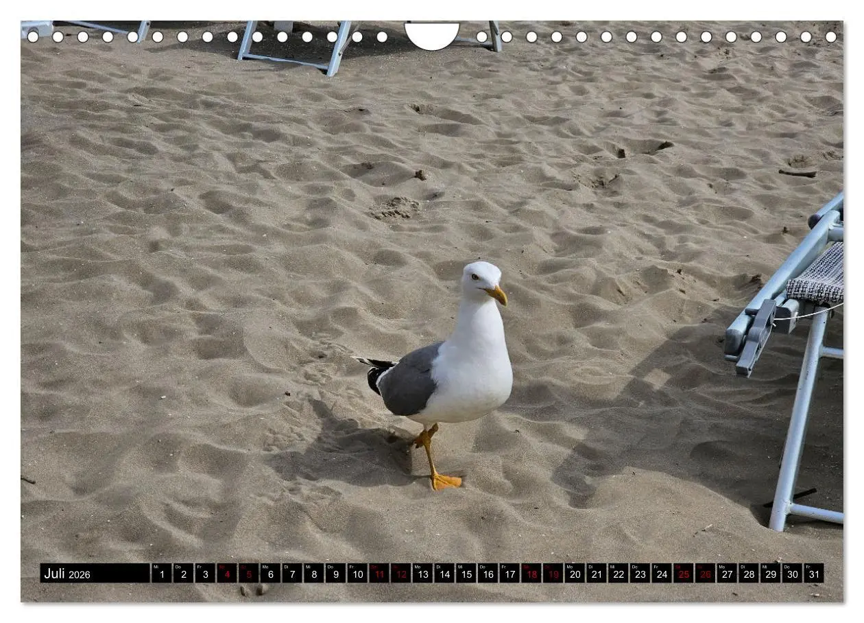 Bild: 9783457362327 | Grado im Frühsommer (Wandkalender 2026 DIN A4 quer), CALVENDO...