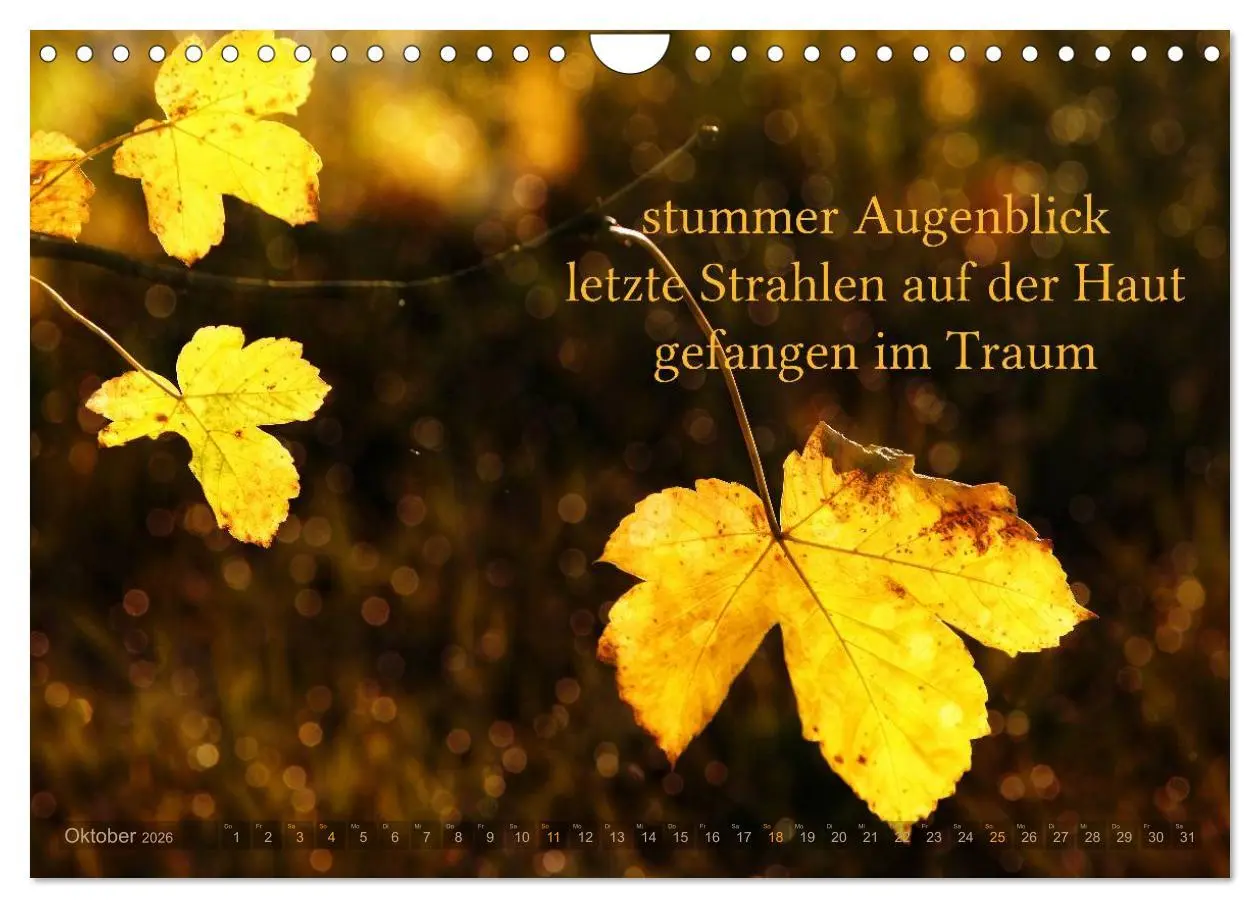 Bild: 9783516142327 | Haiku - Gedichte in 17 Silben (Wandkalender 2026 DIN A4 quer),...