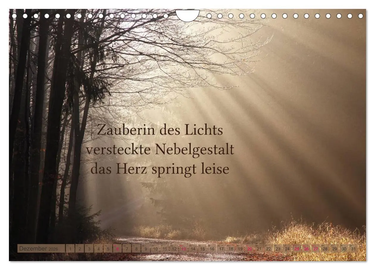 Bild: 9783516142327 | Haiku - Gedichte in 17 Silben (Wandkalender 2026 DIN A4 quer),...