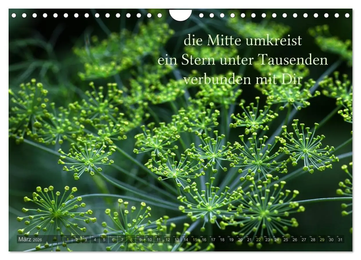Bild: 9783516142327 | Haiku - Gedichte in 17 Silben (Wandkalender 2026 DIN A4 quer),...