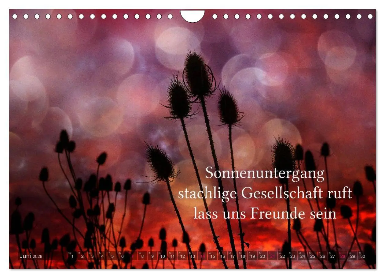 Bild: 9783516142327 | Haiku - Gedichte in 17 Silben (Wandkalender 2026 DIN A4 quer),...