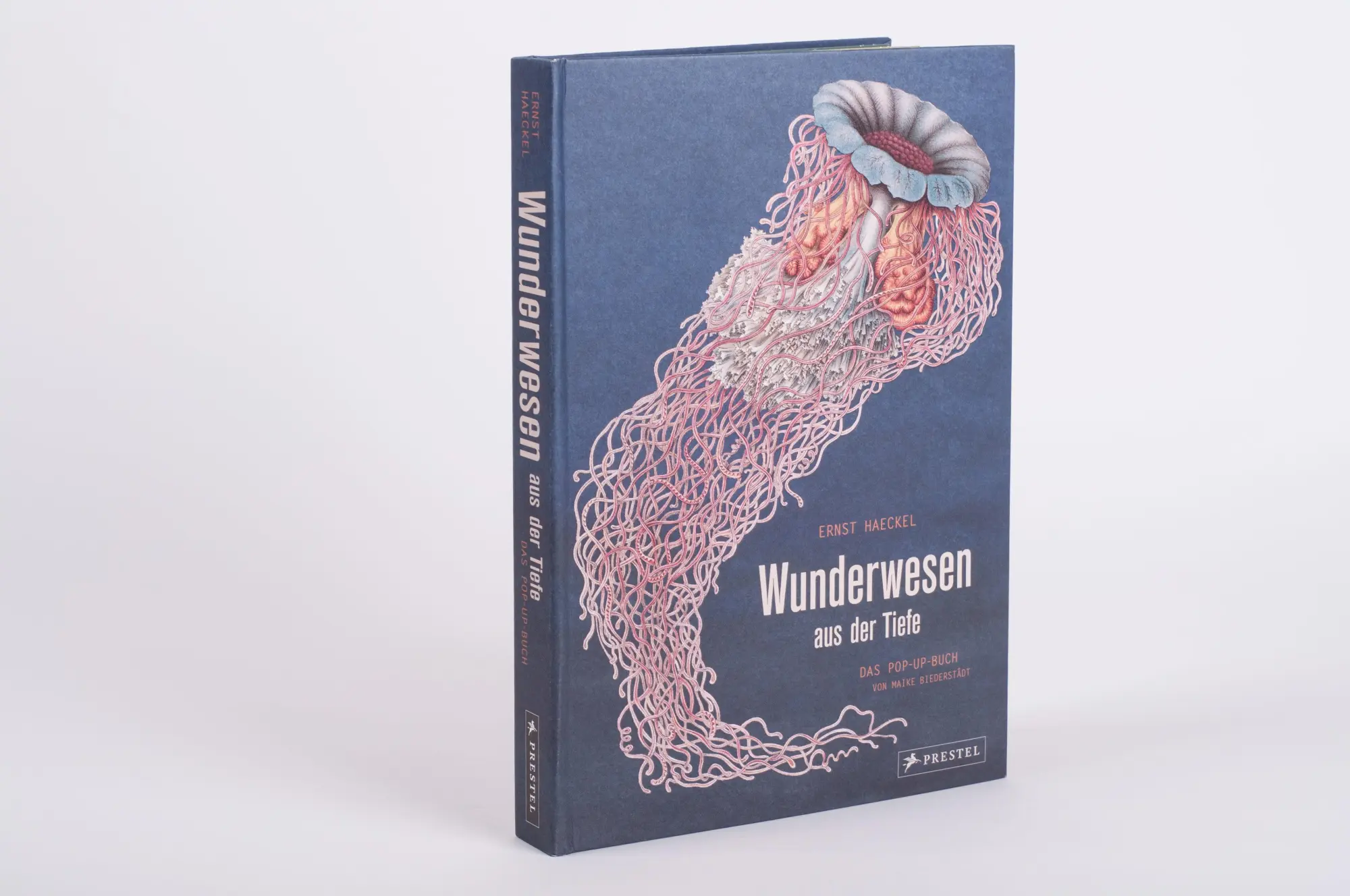 Bild: 9783791372327 | Wunderwesen aus der Tiefe. Ernst Haeckel | Das Pop-up-Buch | Buch
