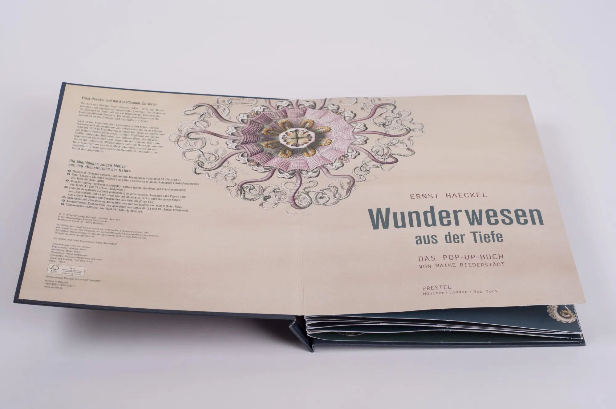 Bild: 9783791372327 | Wunderwesen aus der Tiefe. Ernst Haeckel | Das Pop-up-Buch | Buch