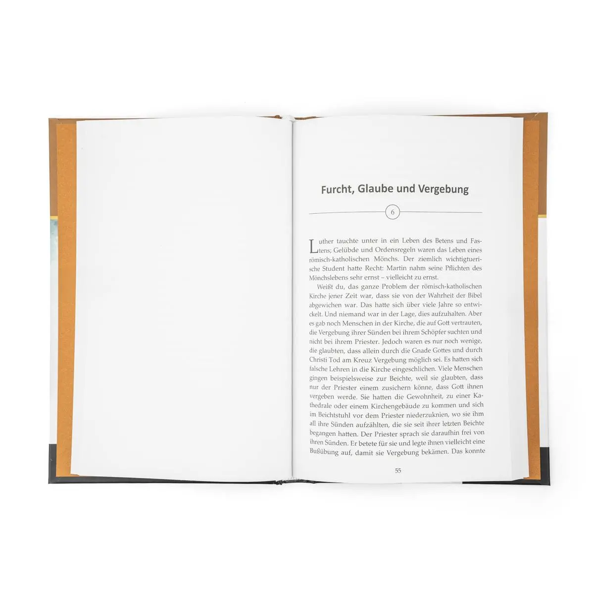 Bild: 9783947102327 | Das Feuer der Reformation | Martin Luther | Catherine Mackenzie | Buch