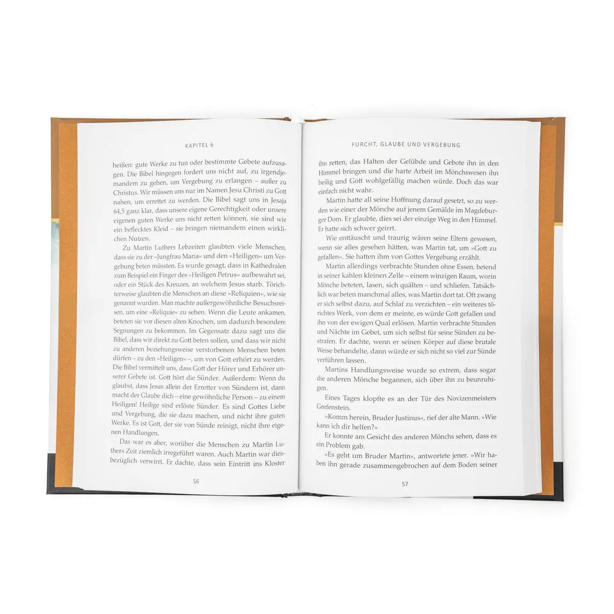 Bild: 9783947102327 | Das Feuer der Reformation | Martin Luther | Catherine Mackenzie | Buch