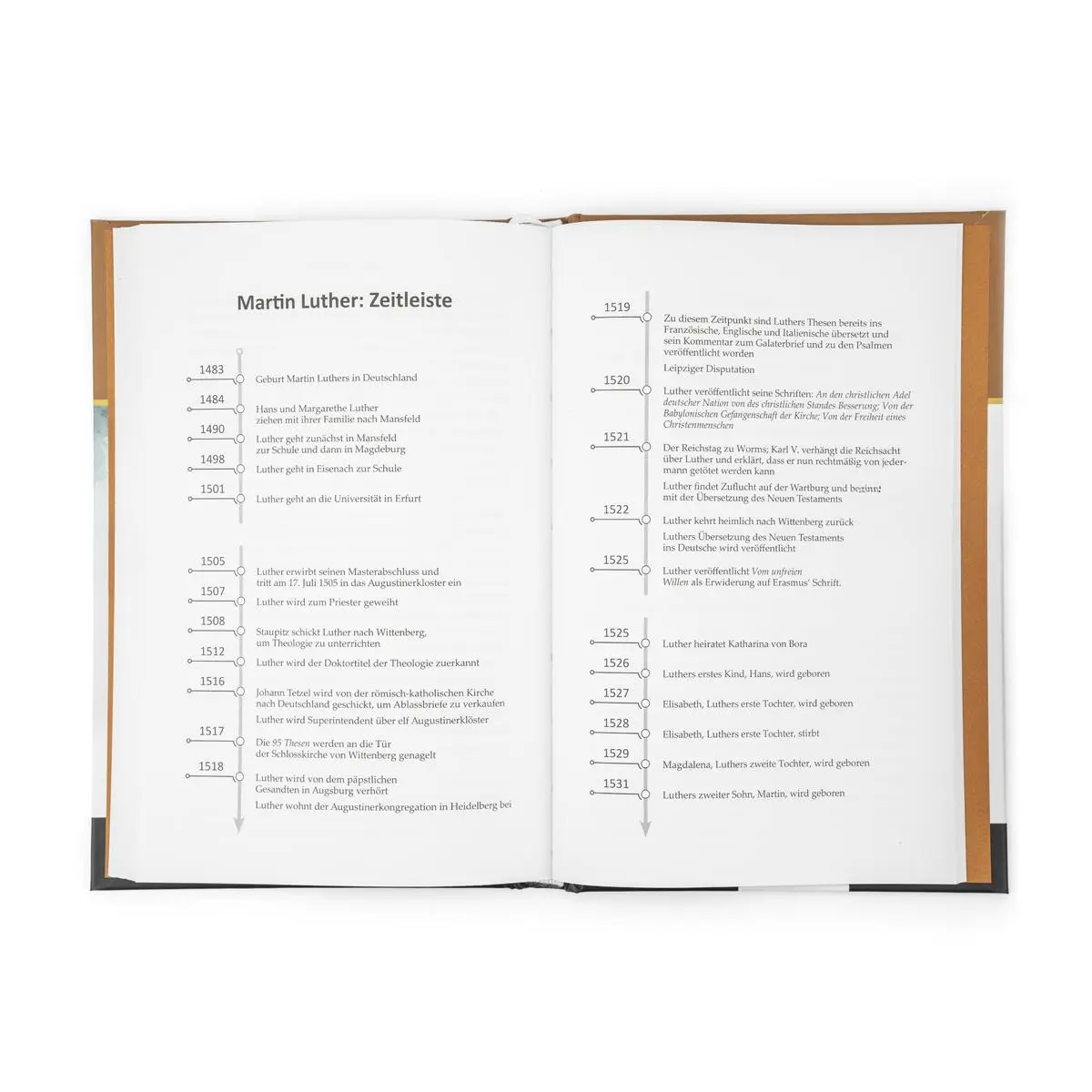 Bild: 9783947102327 | Das Feuer der Reformation | Martin Luther | Catherine Mackenzie | Buch