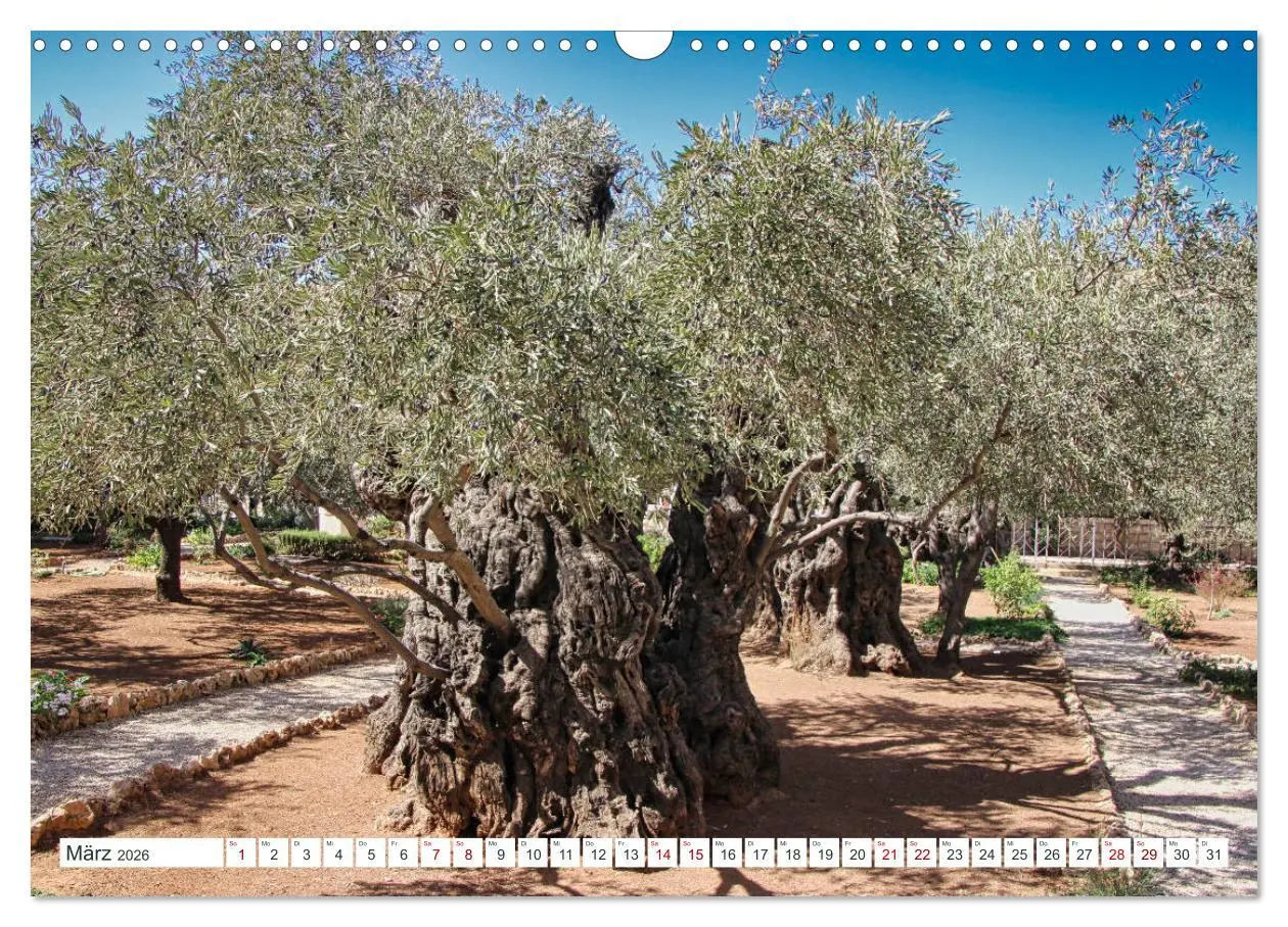 Bild: 9783457732427 | Biblische Orte in Israel mit Bibelstellen (Wandkalender 2026 DIN A3...