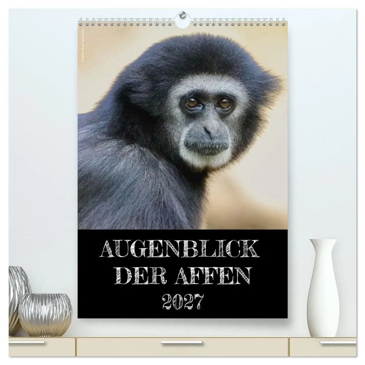 Cover: 9783569842427 | Augenblick der Affen 2027 (hochwertiger Premium Wandkalender 2027...