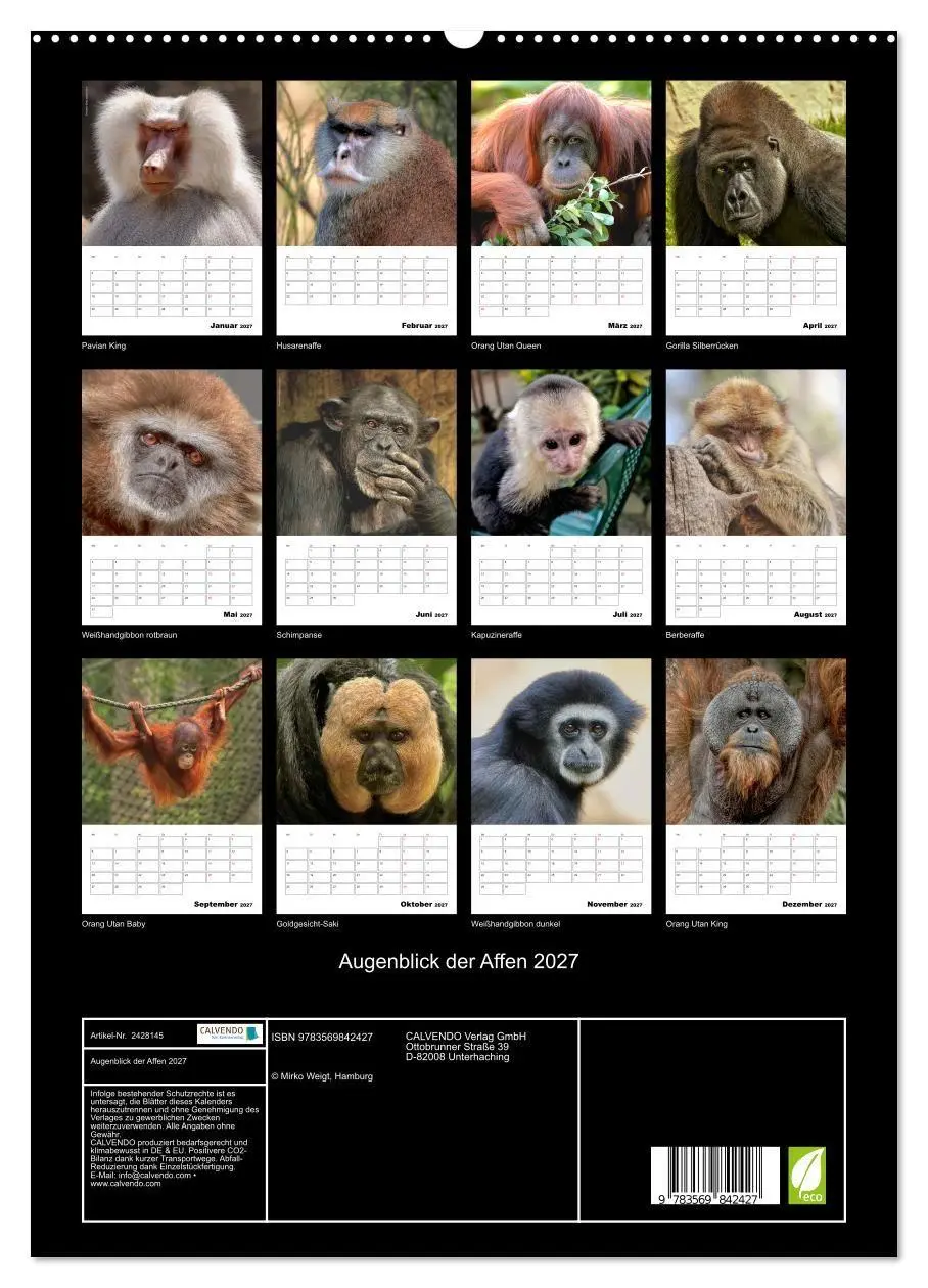 Bild: 9783569842427 | Augenblick der Affen 2027 (hochwertiger Premium Wandkalender 2027...