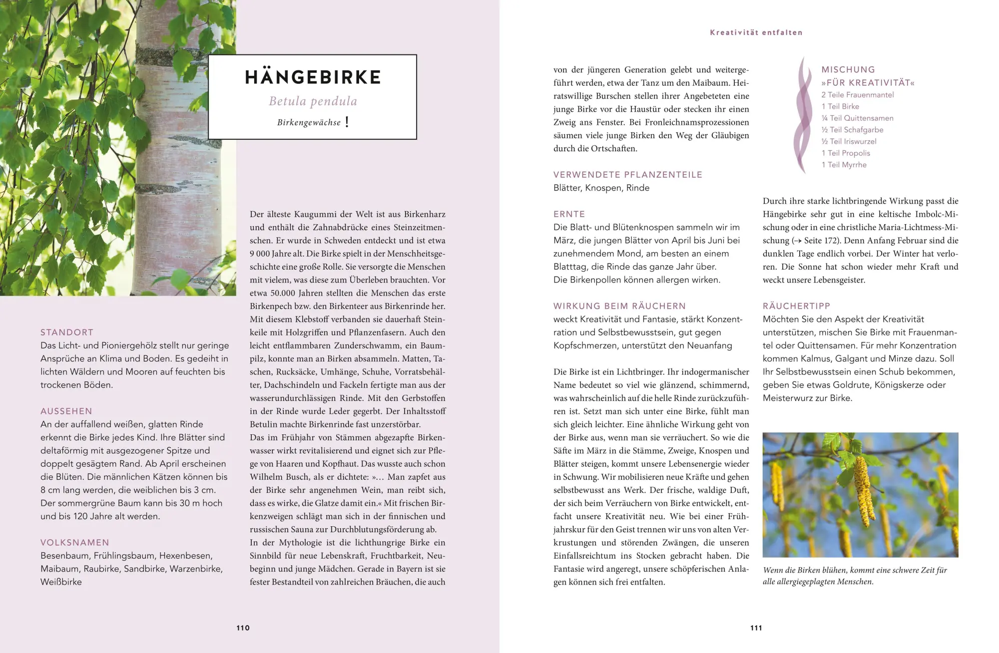 Bild: 9783833862427 | Heilsames Räuchern mit Wildpflanzen | Adolfine Nitschke | Buch | 2018