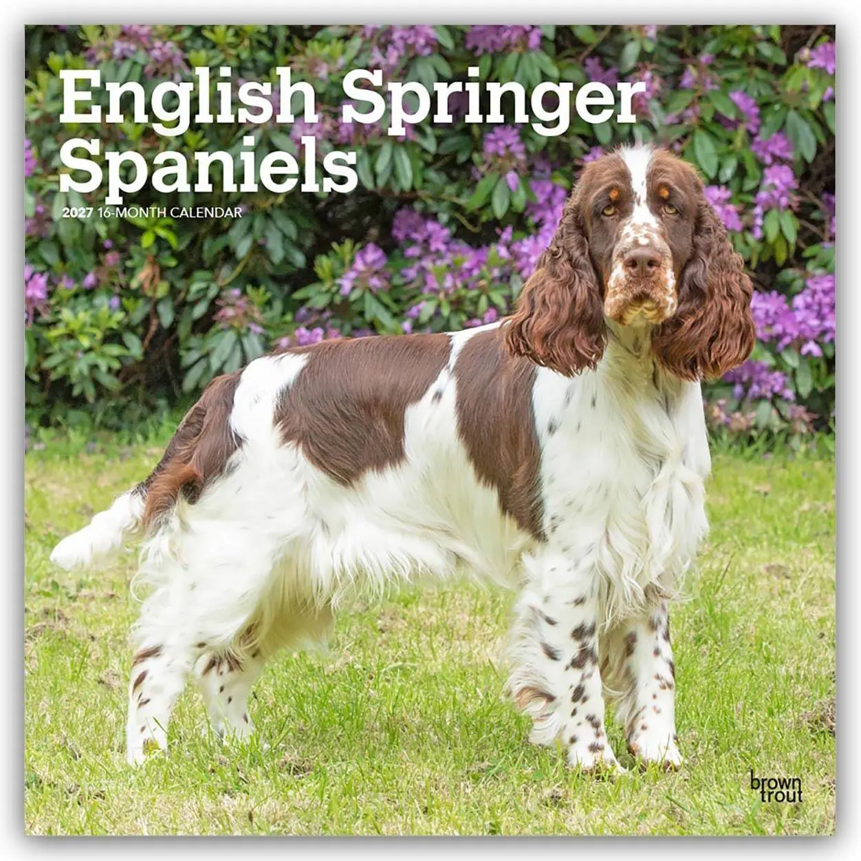 Cover: 9798330712427 | English Springer Spaniels 2027 - 16-Monatskalender | Publishers | 2027