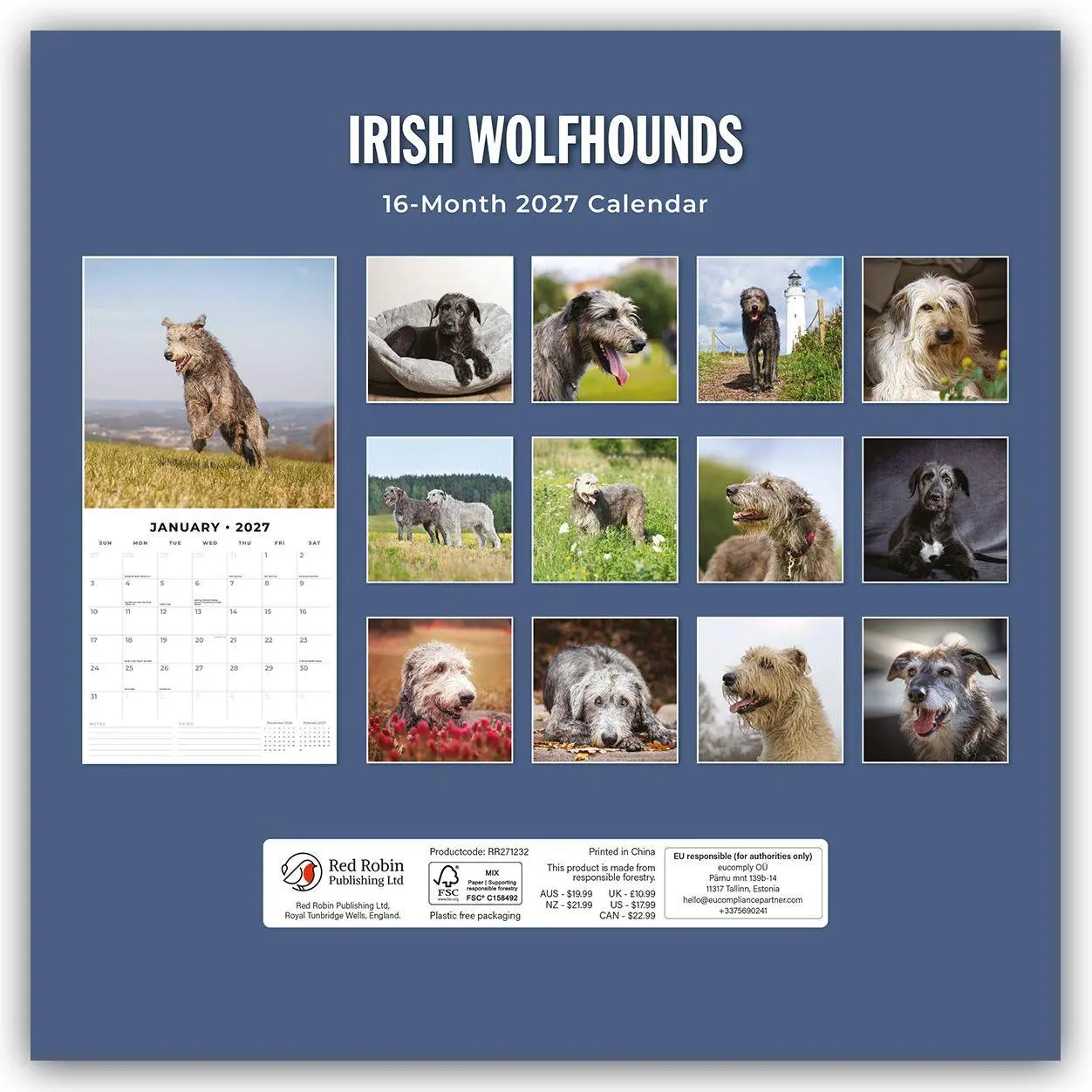 Bild: 9781837012527 | Irish Wolfhounds - Irischer Wolfshund 2027 - 16-Monatskalender | Red