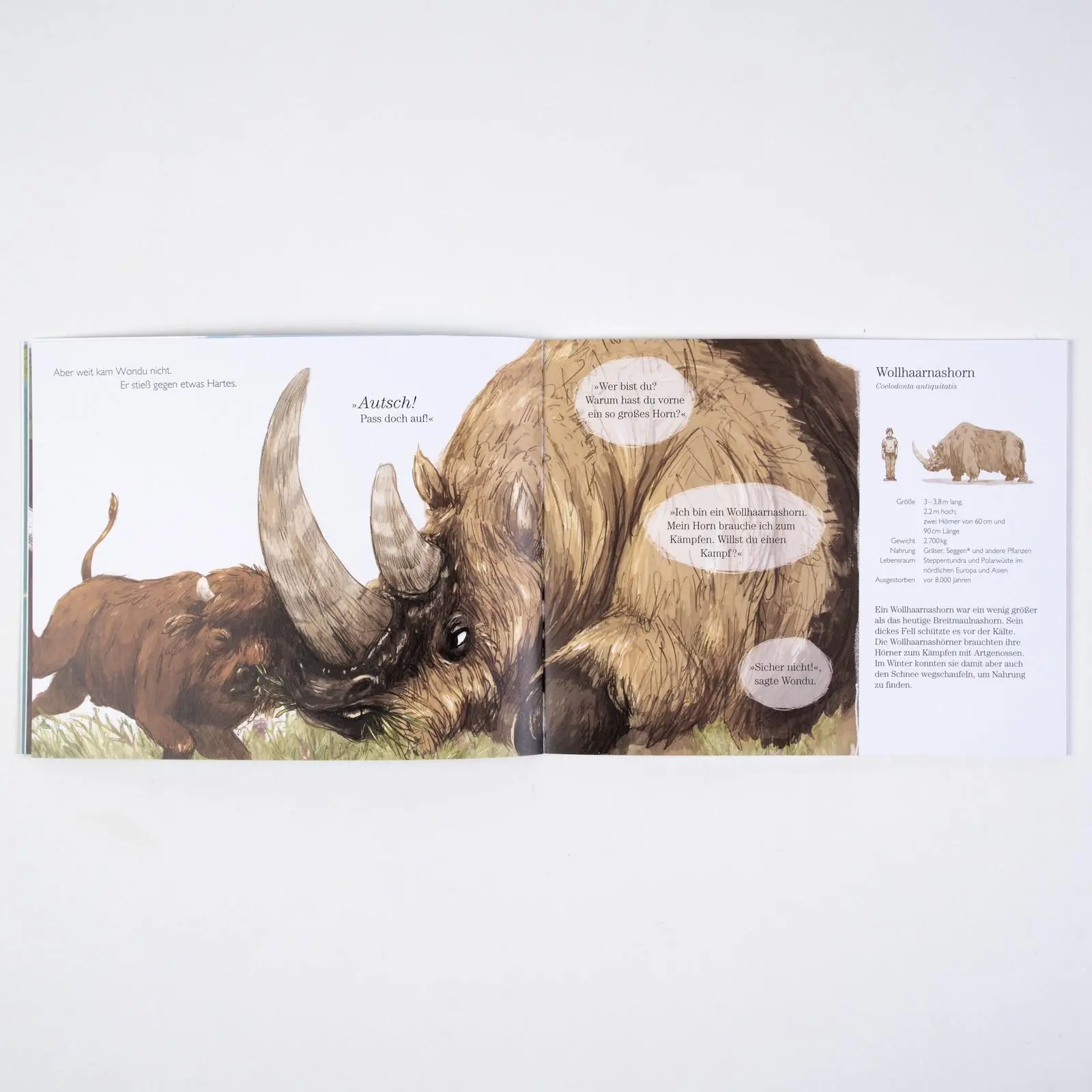 Bild: 9783407762627 | Wondu und die Eiszeitriesen | Vierfarbiges Bilderbuch | Joe Lillington