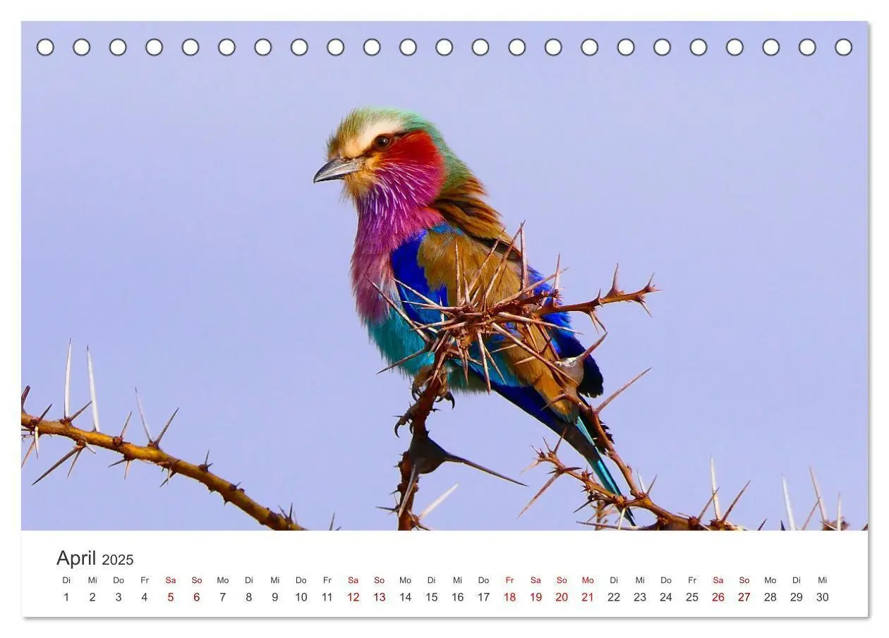Bild: 9783435002627 | Tansania - Am Fuße des Kilimandscharo. (Tischkalender 2025 DIN A5...