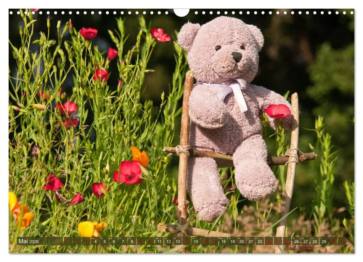Bild: 9783457882627 | Kunterbunte Bärenwelt - Teddys (Wandkalender 2026 DIN A3 quer),...