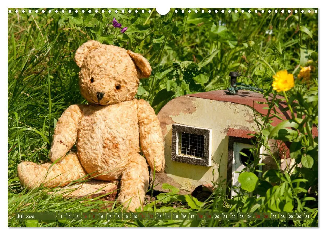 Bild: 9783457882627 | Kunterbunte Bärenwelt - Teddys (Wandkalender 2026 DIN A3 quer),...
