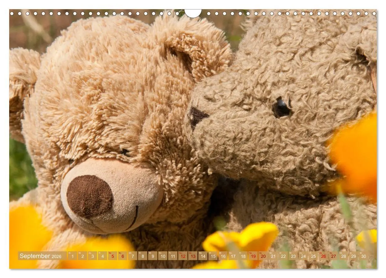 Bild: 9783457882627 | Kunterbunte Bärenwelt - Teddys (Wandkalender 2026 DIN A3 quer),...