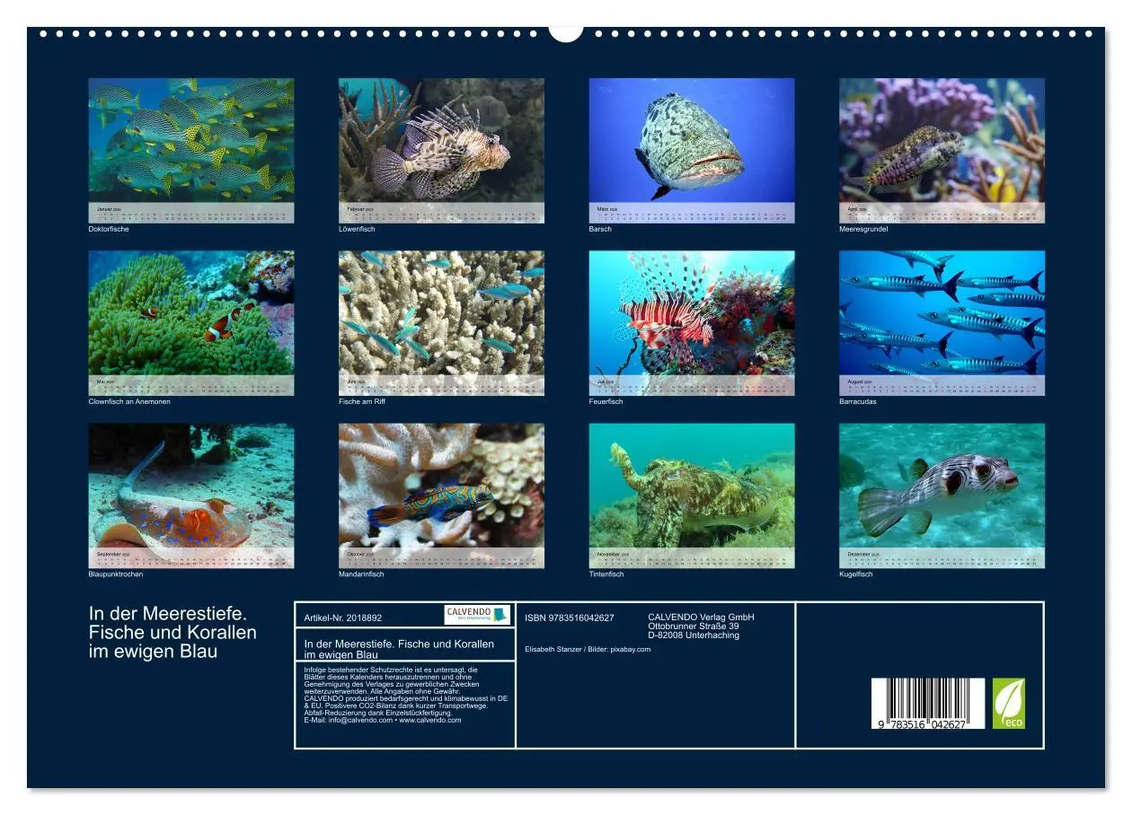 Bild: 9783516042627 | In der Meerestiefe. Fische und Korallen im ewigen Blau...