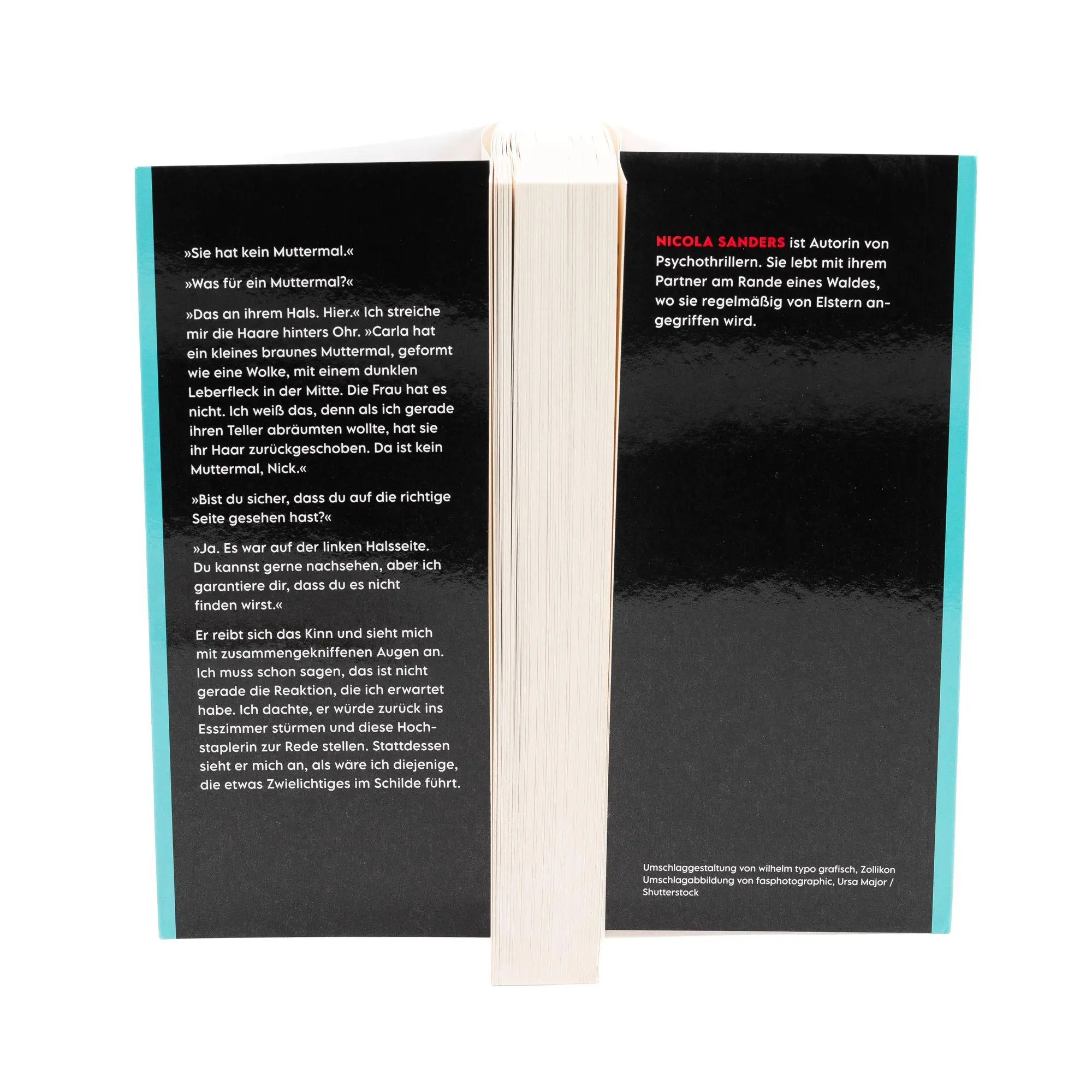 Bild: 9783365012727 | Don't Believe Her | Nicola Sanders | Taschenbuch | 336 S. | Deutsch