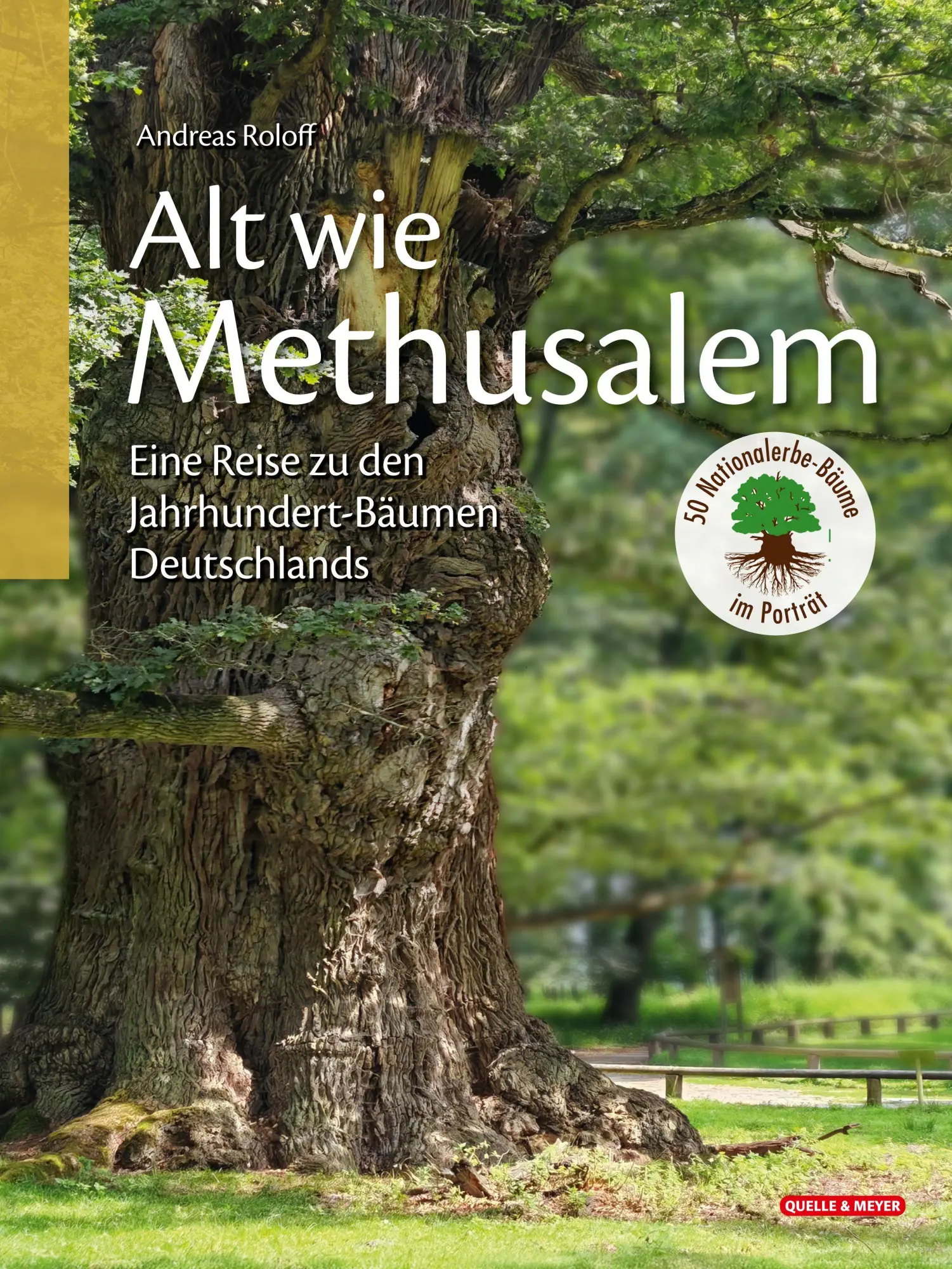 Cover: 9783494022727 | Alt wie Methusalem - Eine Reise zu den Jahrhundert-Bäumen Deutschlands