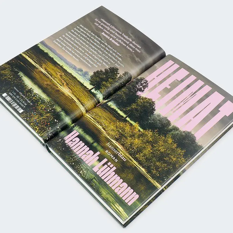 Bild: 9783446282827 | Heimat | Roman | Hannah Lühmann | Buch | 176 S. | Deutsch | 2025