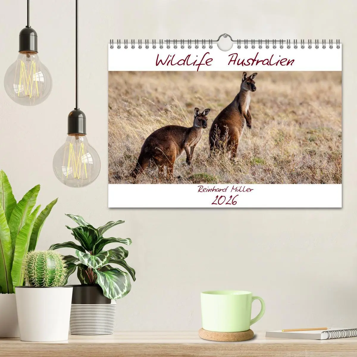 Bild: 9783457792827 | Wildlife Australien (Wandkalender 2026 DIN A4 quer), CALVENDO...