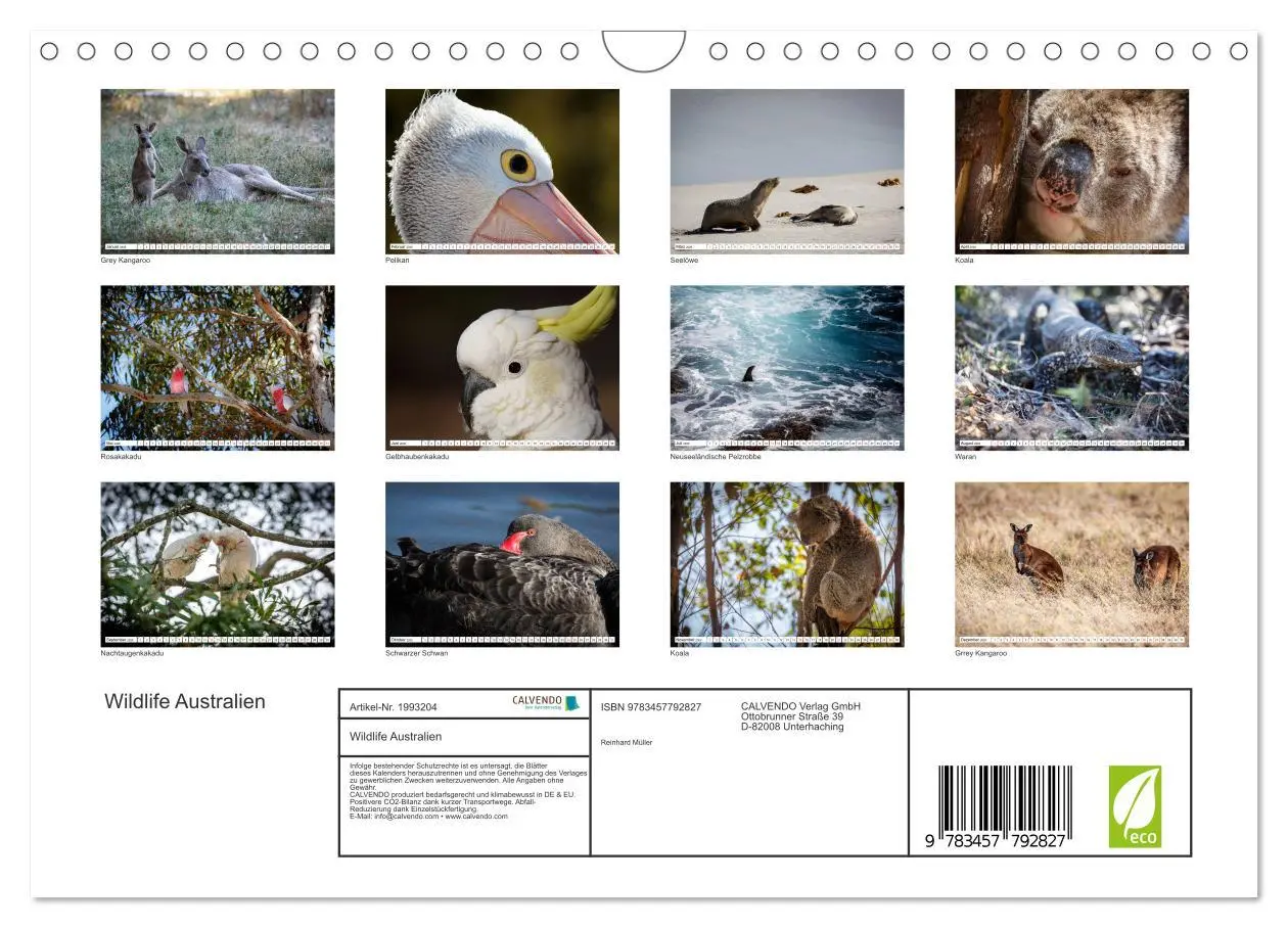 Bild: 9783457792827 | Wildlife Australien (Wandkalender 2026 DIN A4 quer), CALVENDO...