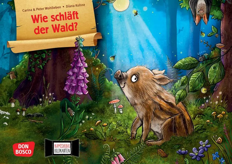 Cover: 4260694922927 | Wie schläft der Wald? Kamishibai Bildkartenset | Wohlleben (u. a.)
