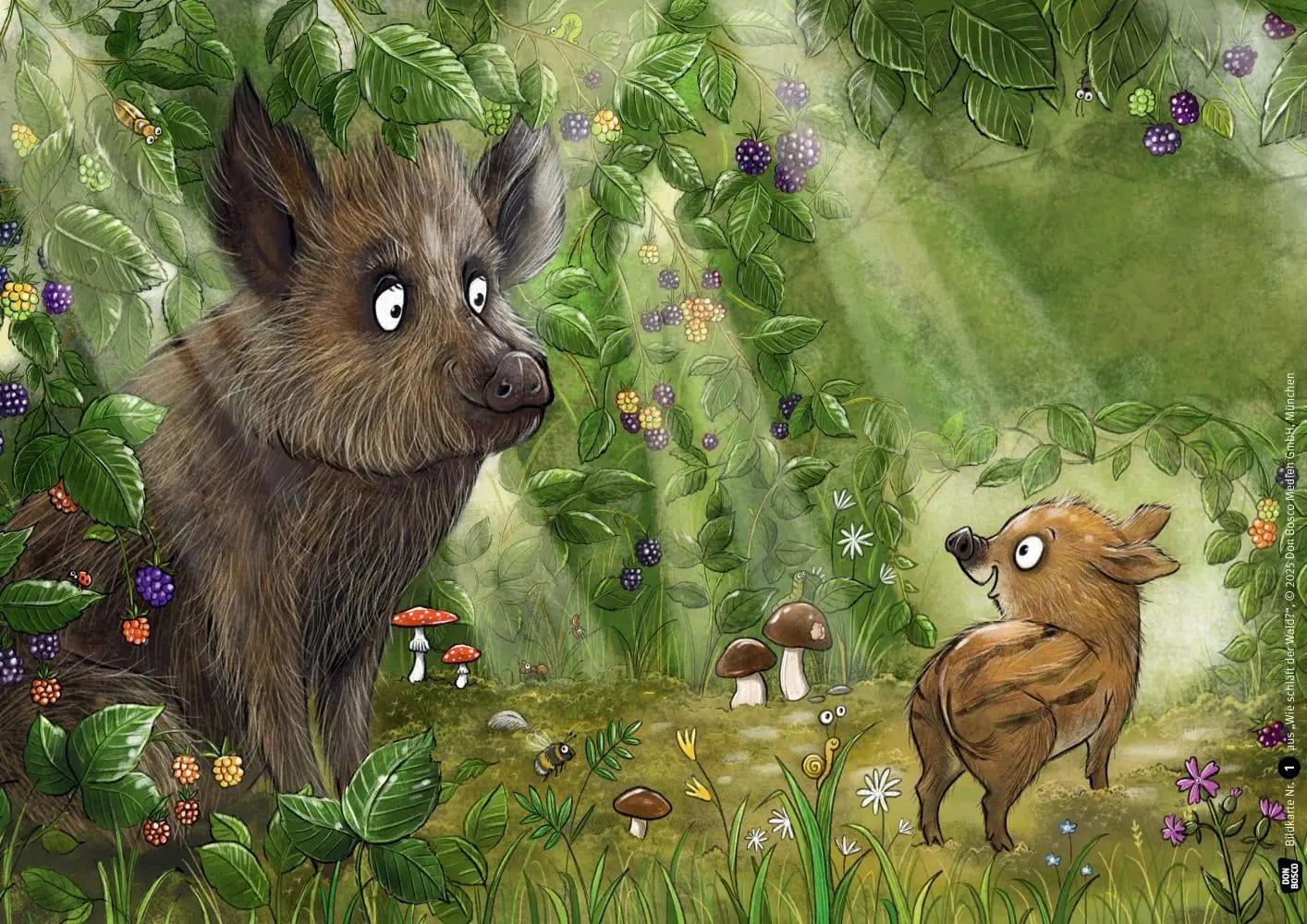 Bild: 4260694922927 | Wie schläft der Wald? Kamishibai Bildkartenset | Wohlleben (u. a.)