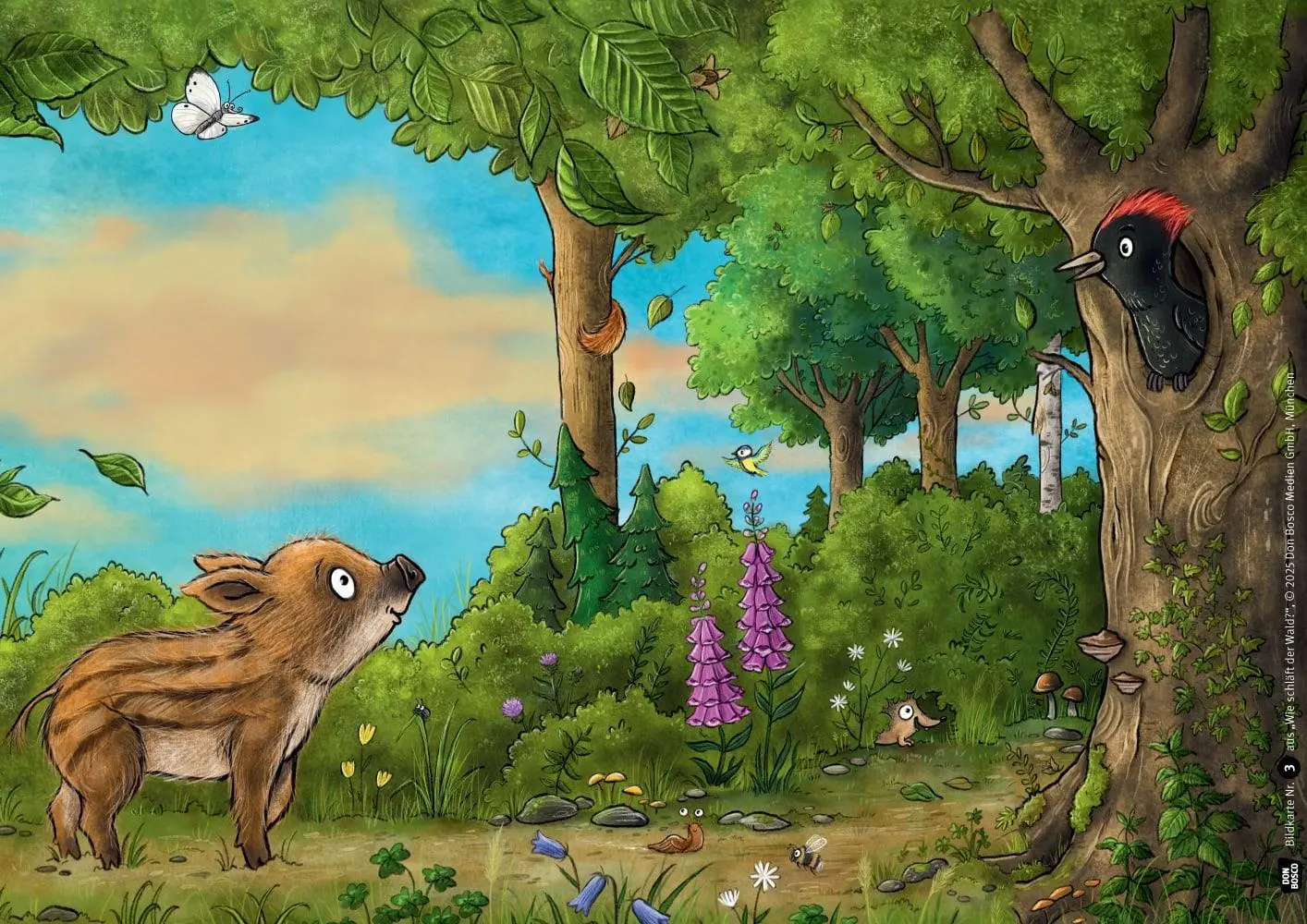 Bild: 4260694922927 | Wie schläft der Wald? Kamishibai Bildkartenset | Wohlleben (u. a.)