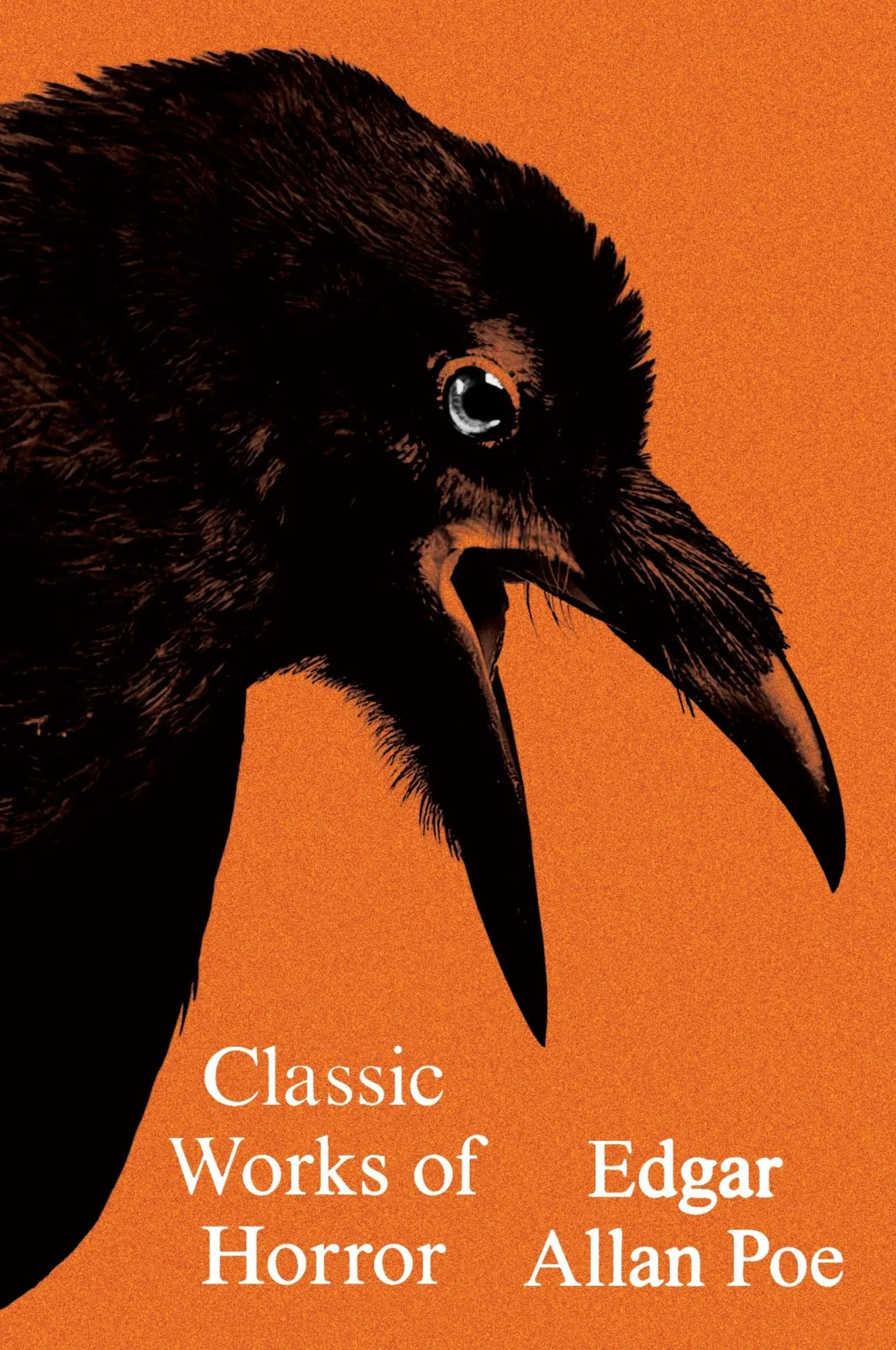 Cover: 9780063412927 | Classic Works of Horror | Edgar Allan Poe | Taschenbuch | X | Englisch