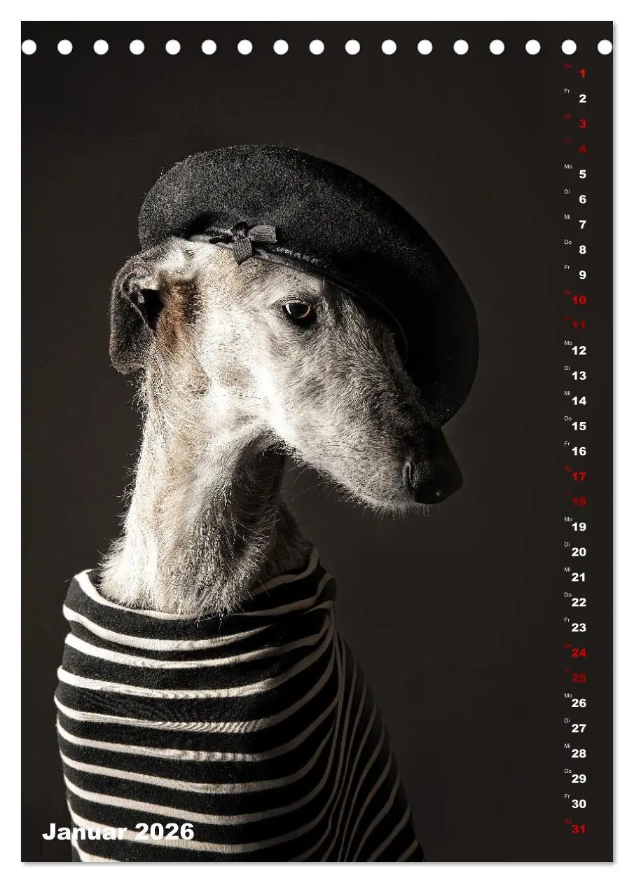 Bild: 9783457302927 | dogmuse deluxe (Tischkalender 2026 DIN A5 hoch), CALVENDO...