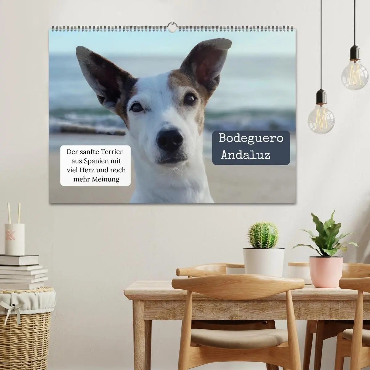 Bild: 9783569412927 | Ratonero Bodeguero Andaluz (Wandkalender 2027 DIN A2 quer),...