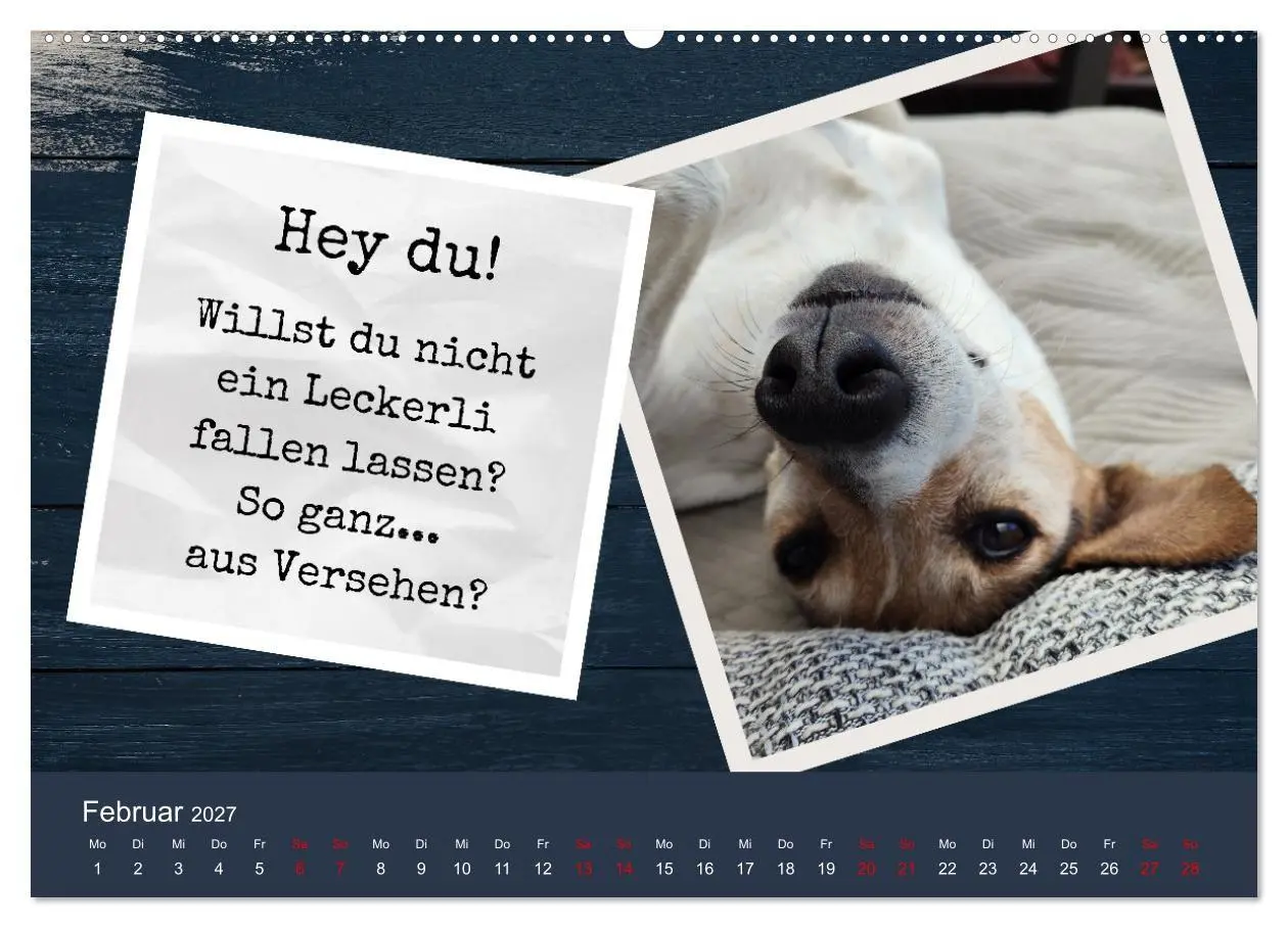 Bild: 9783569412927 | Ratonero Bodeguero Andaluz (Wandkalender 2027 DIN A2 quer),...