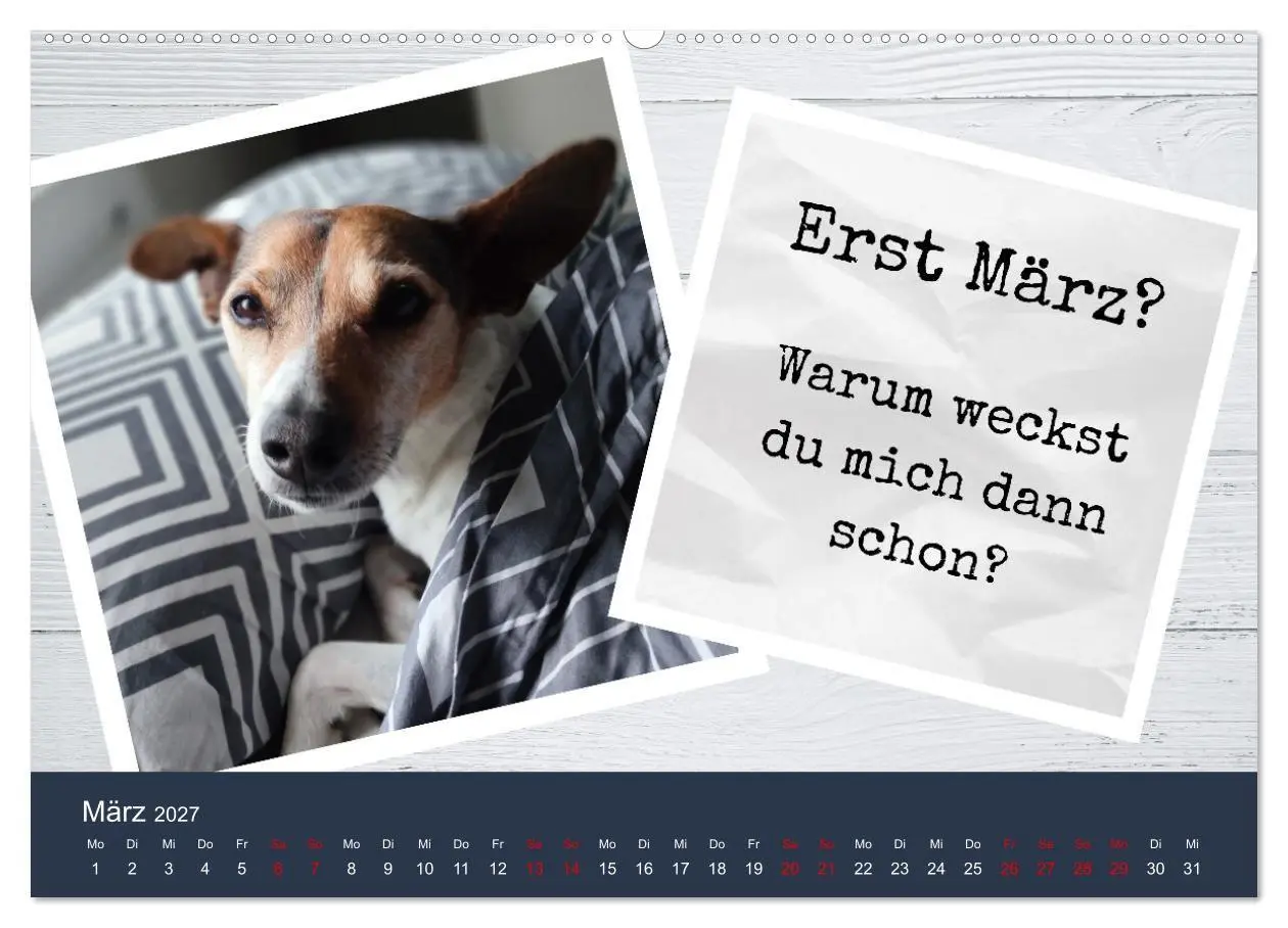 Bild: 9783569412927 | Ratonero Bodeguero Andaluz (Wandkalender 2027 DIN A2 quer),...