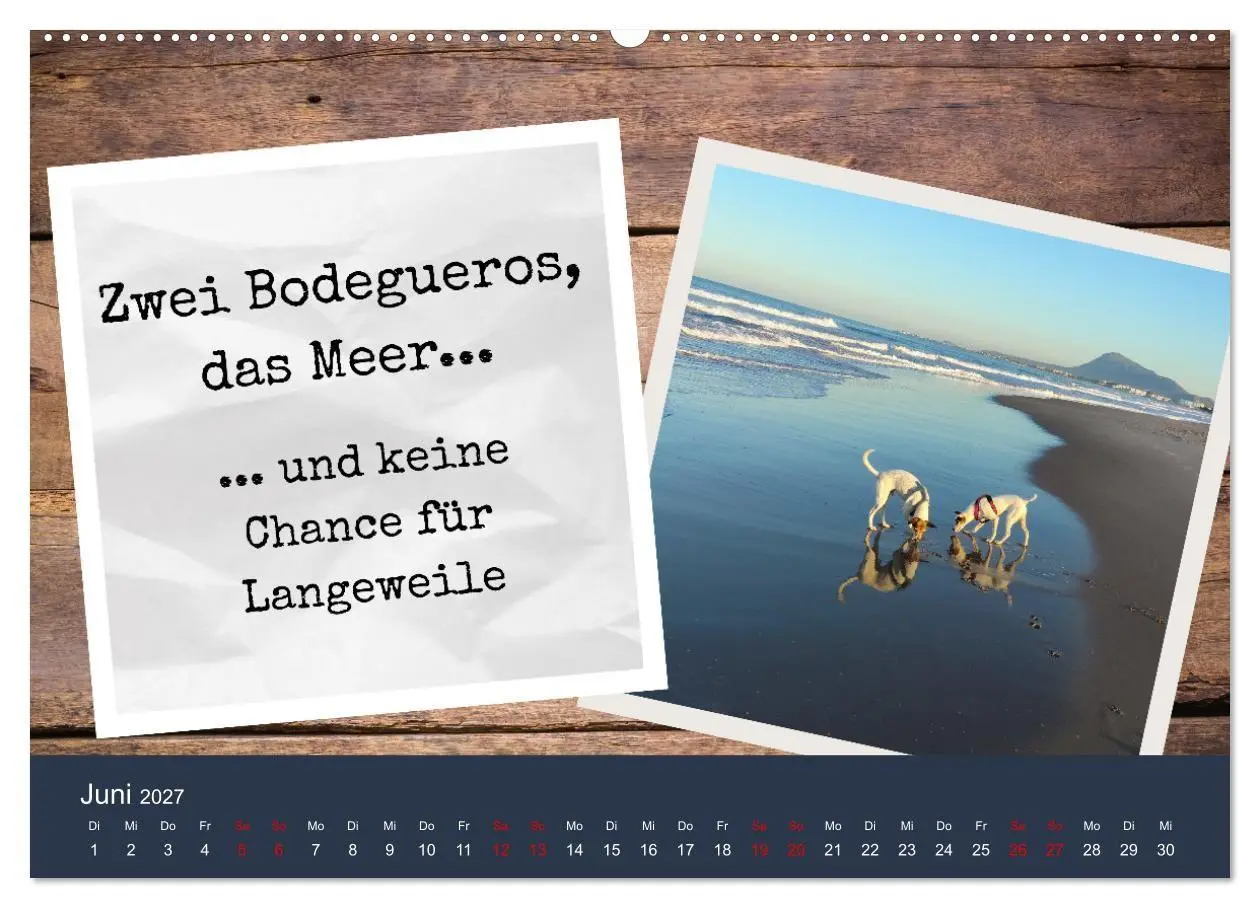 Bild: 9783569412927 | Ratonero Bodeguero Andaluz (Wandkalender 2027 DIN A2 quer),...