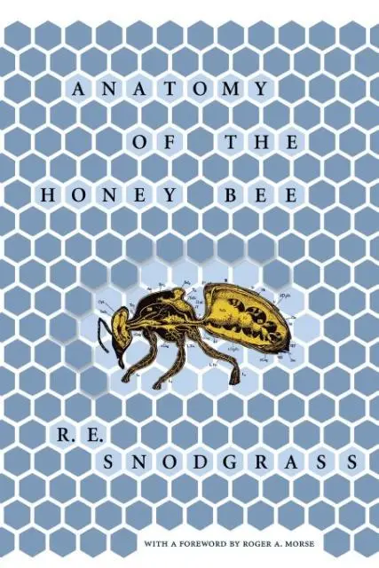 Cover: 9780801493027 | Anatomy of the Honey Bee | R. E. Snodgrass | Taschenbuch | Englisch