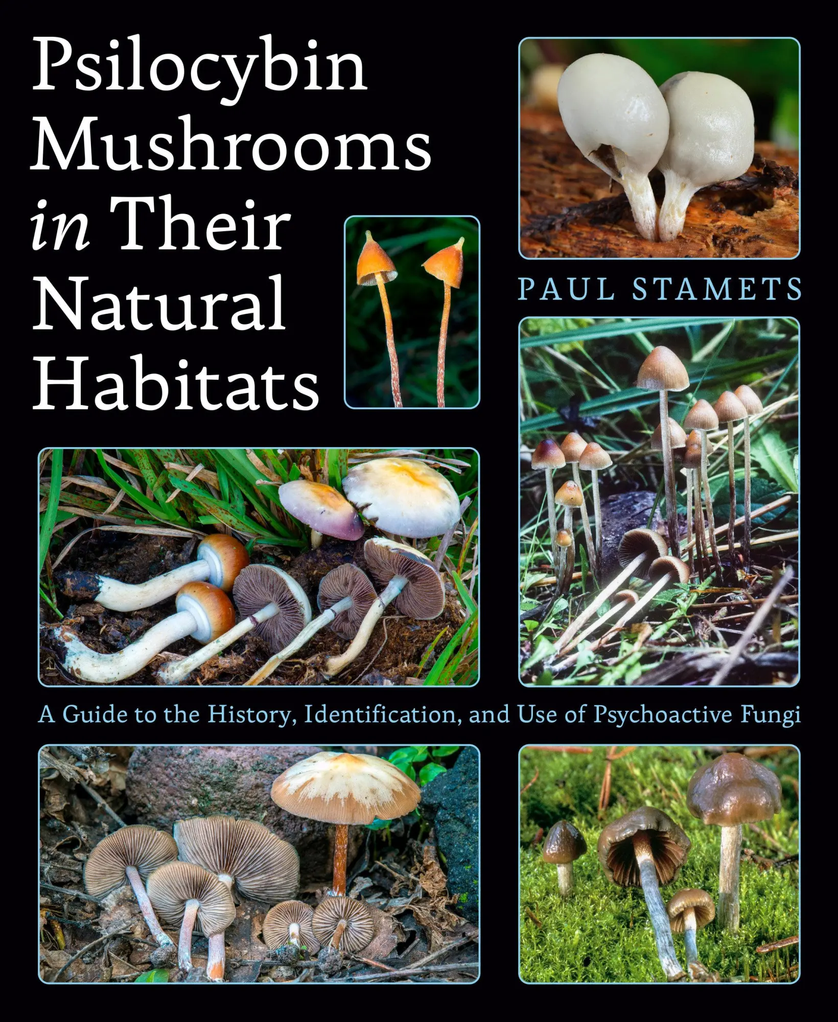 Cover: 9781984863027 | Psilocybin Mushrooms in Their Natural Habitats | Paul Stamets | Buch