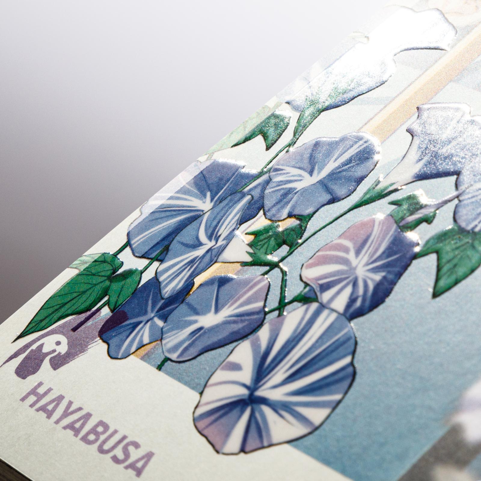 Bild: 9783551623027 | First Love Blooms | Rou Nishimoto | Taschenbuch | 226 S. | Deutsch
