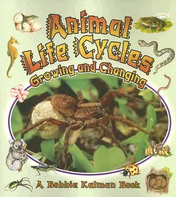 Cover: 9780778723127 | Animal Life Cycles: Growing and Changing | Bobbie Kalman | Taschenbuch
