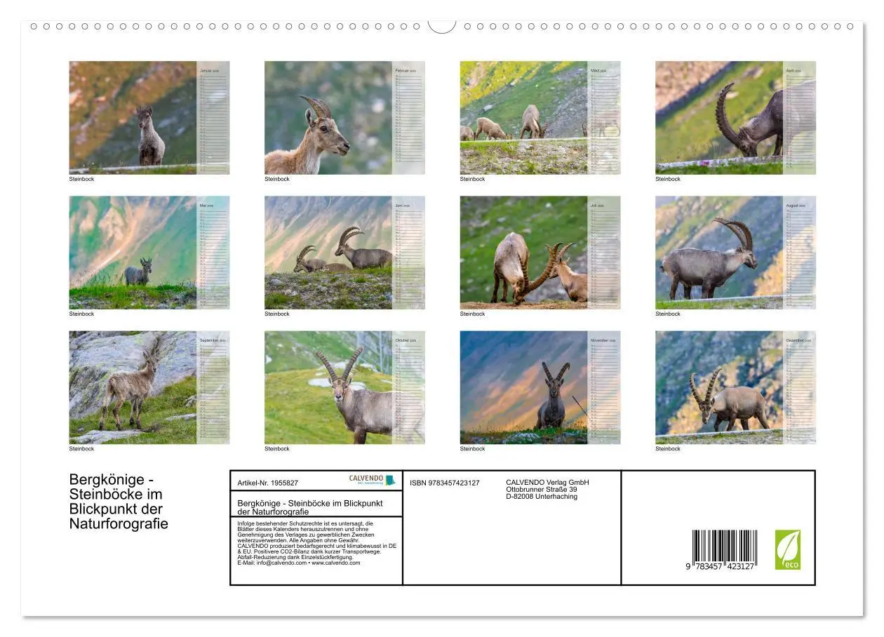 Bild: 9783457423127 | Bergkönige - Steinböcke im Blickpunkt der Naturforografie...
