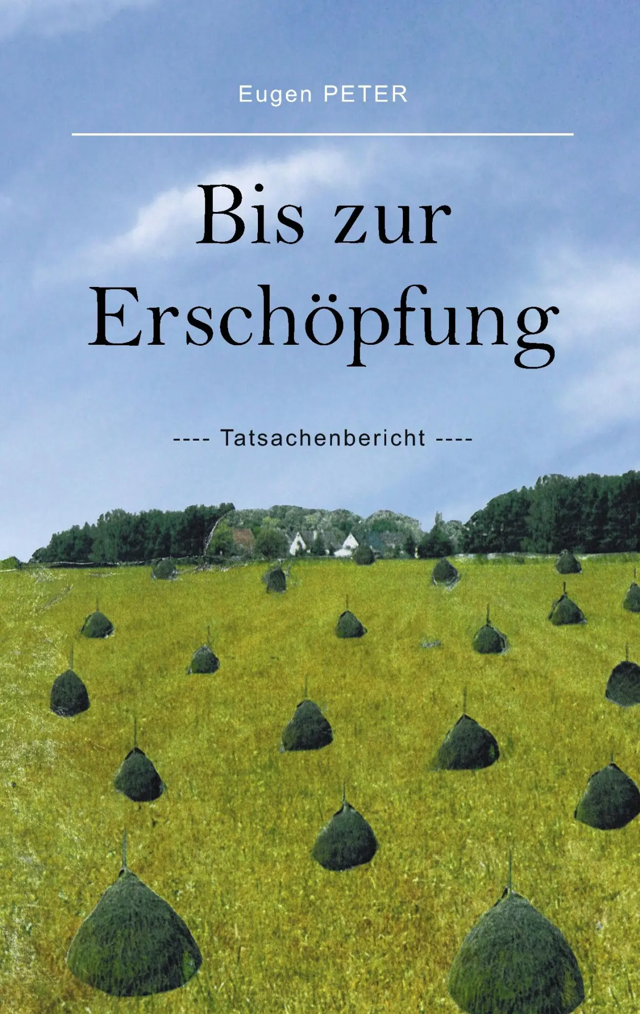 Cover: 9783839113127 | Bis zur Erschöpfung | Tatsachenbericht | Eugen Peter | Taschenbuch