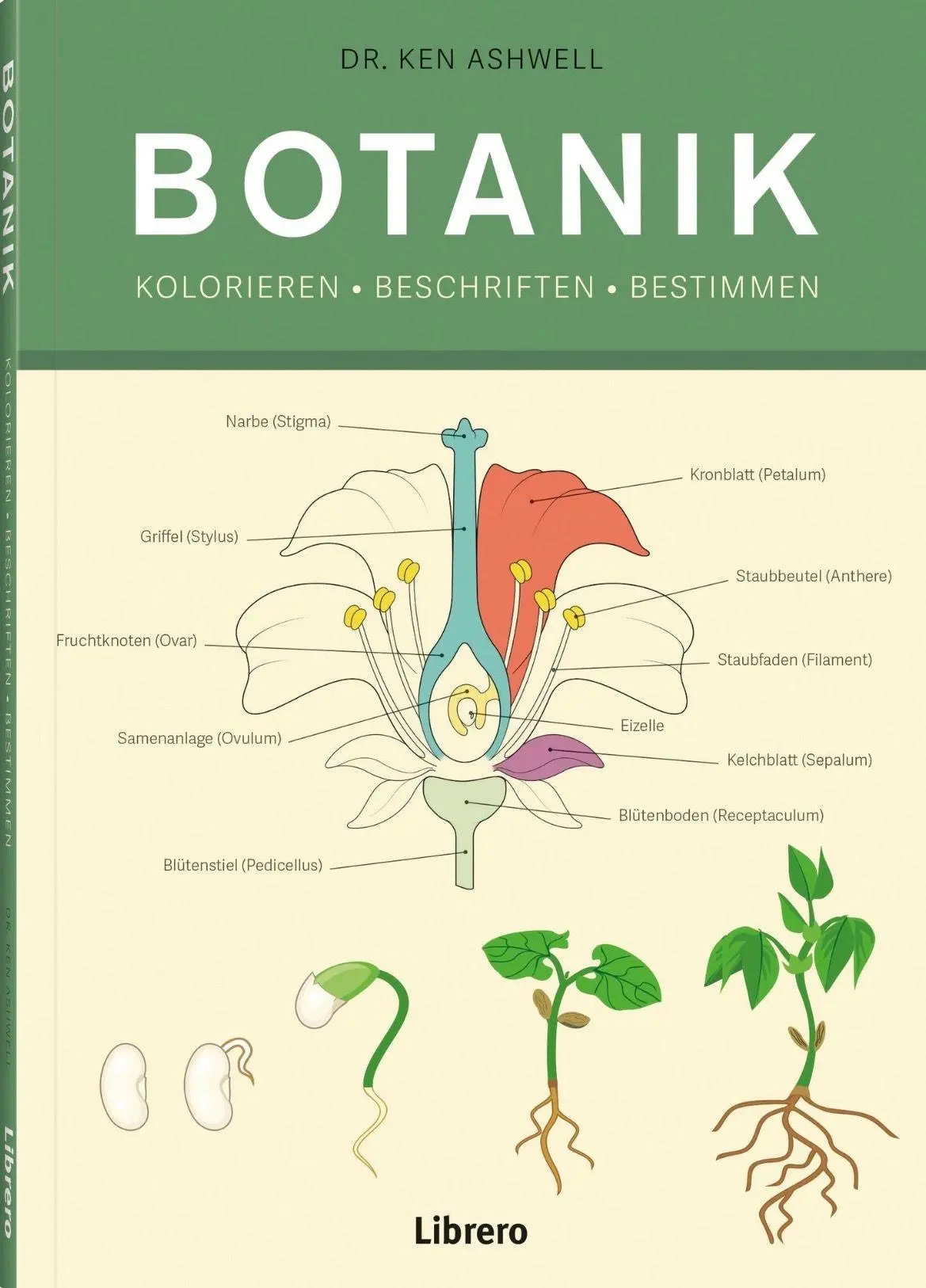 Cover: 9789464993127 | Botanik | Kolorieren * Beschriften * Bestimmen | Ken Ashwell | Buch