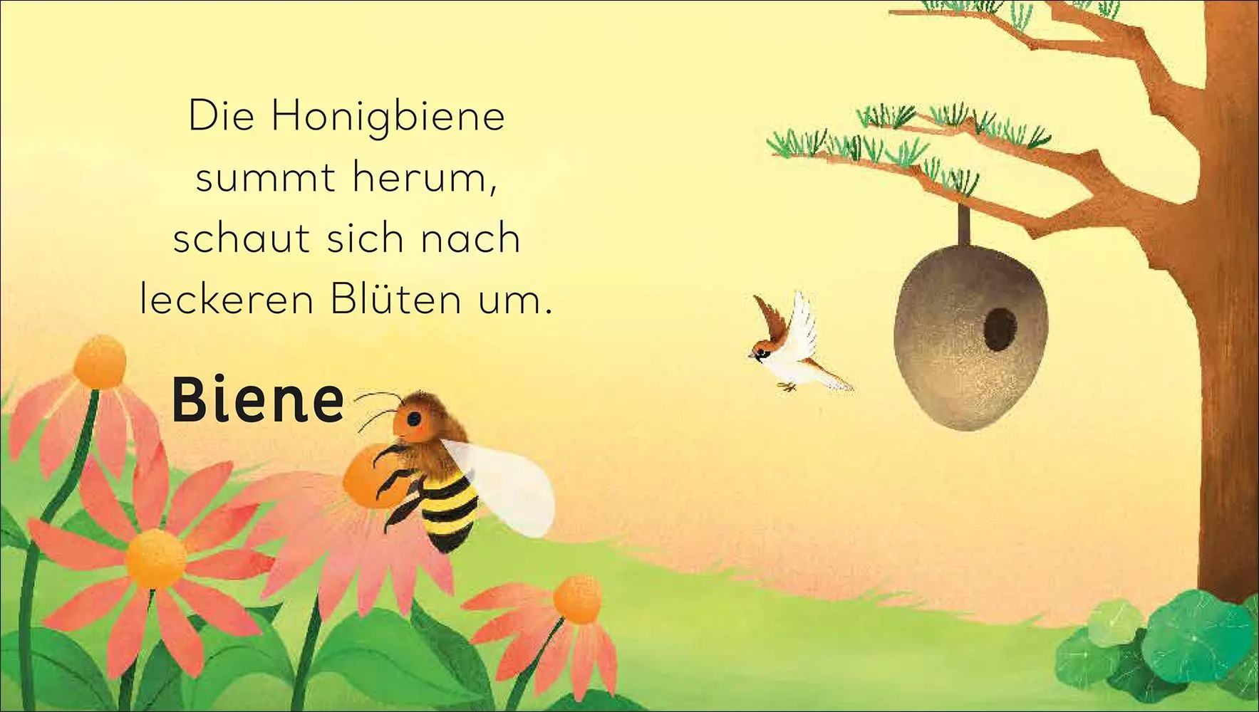 Bild: 9783458643227 | Eine kleine Welt im Garten | Will Millard | Buch | Eine kleine Welt