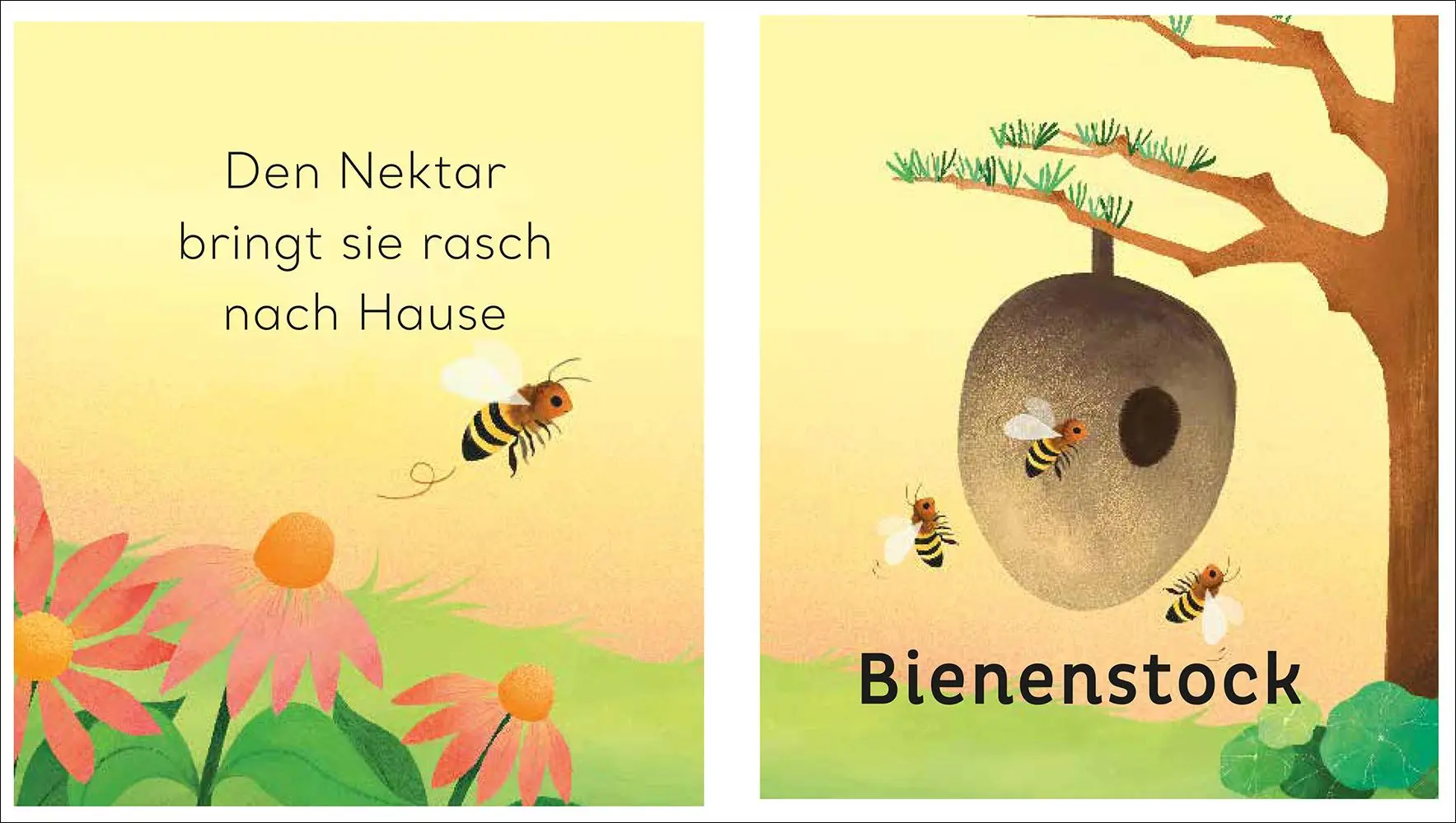 Bild: 9783458643227 | Eine kleine Welt im Garten | Will Millard | Buch | Eine kleine Welt