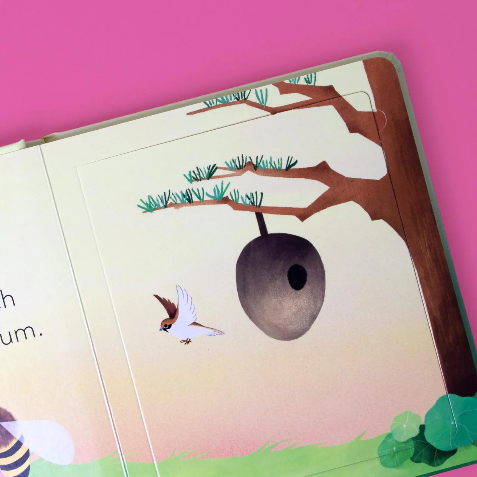 Bild: 9783458643227 | Eine kleine Welt im Garten | Will Millard | Buch | Eine kleine Welt