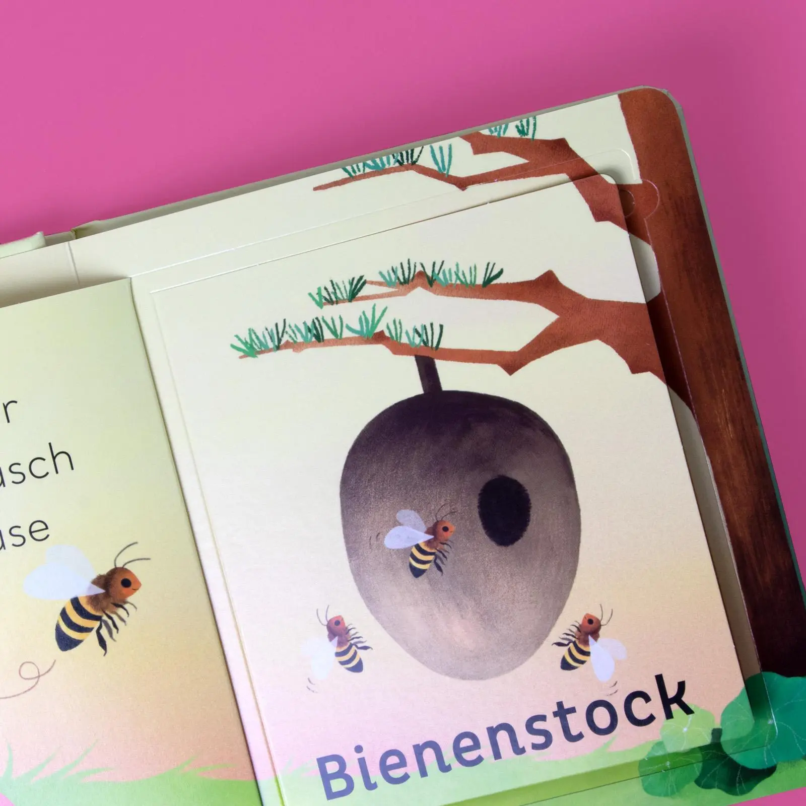 Bild: 9783458643227 | Eine kleine Welt im Garten | Will Millard | Buch | Eine kleine Welt